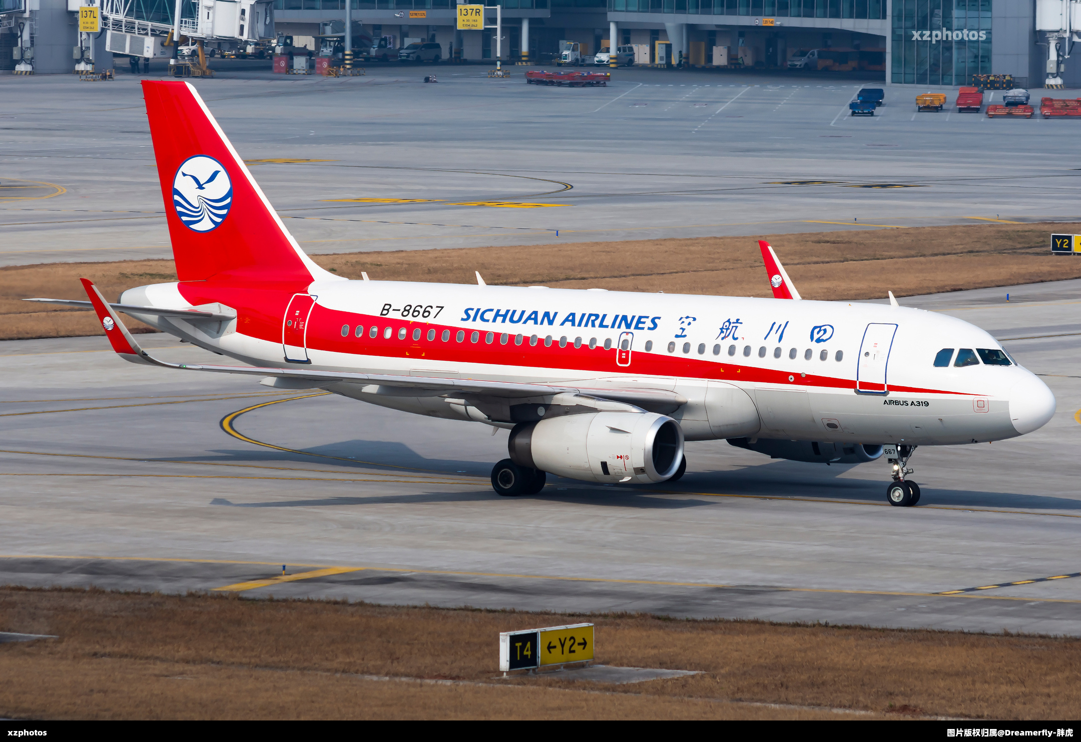 B-8667