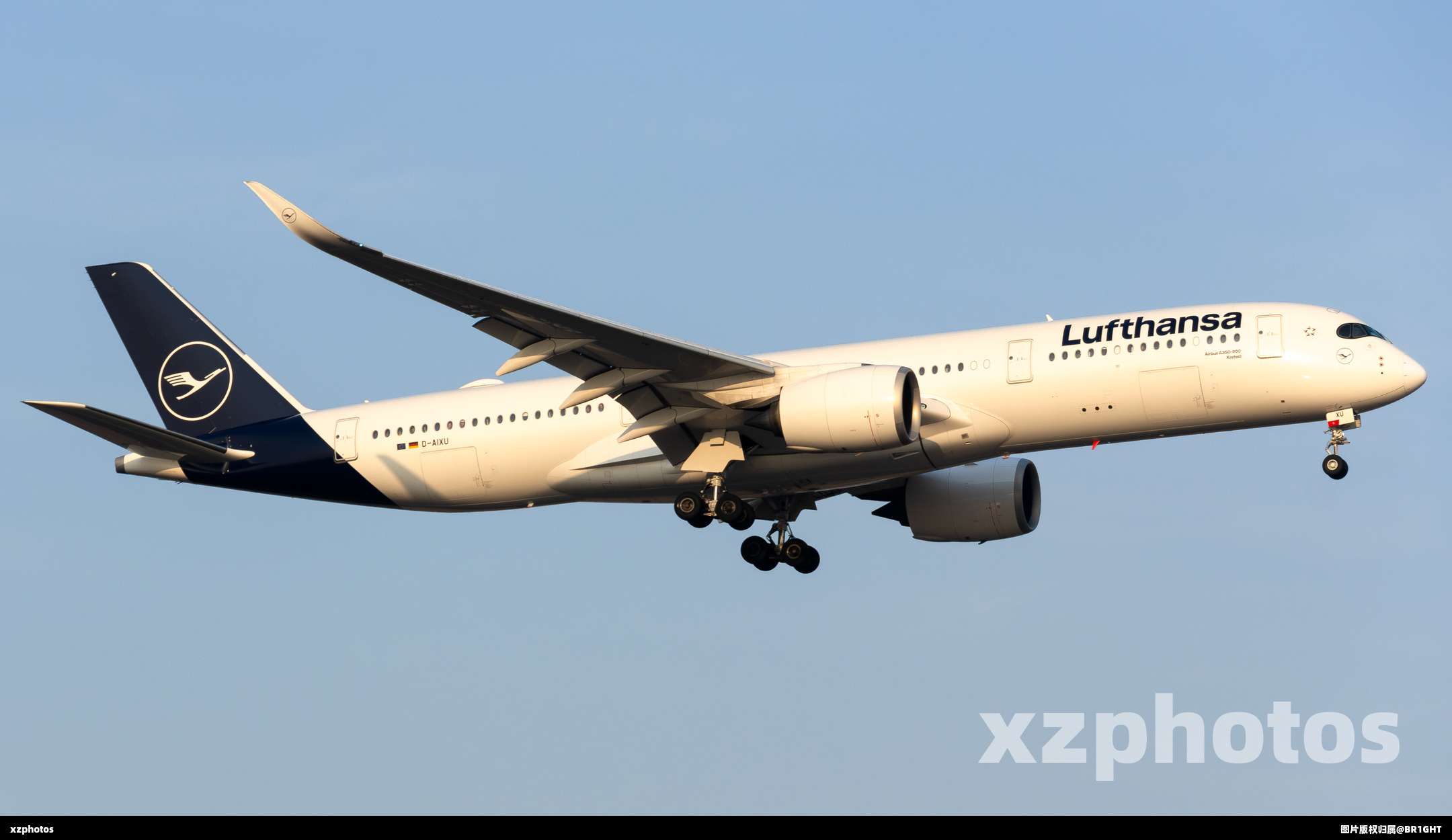 D-AIXU