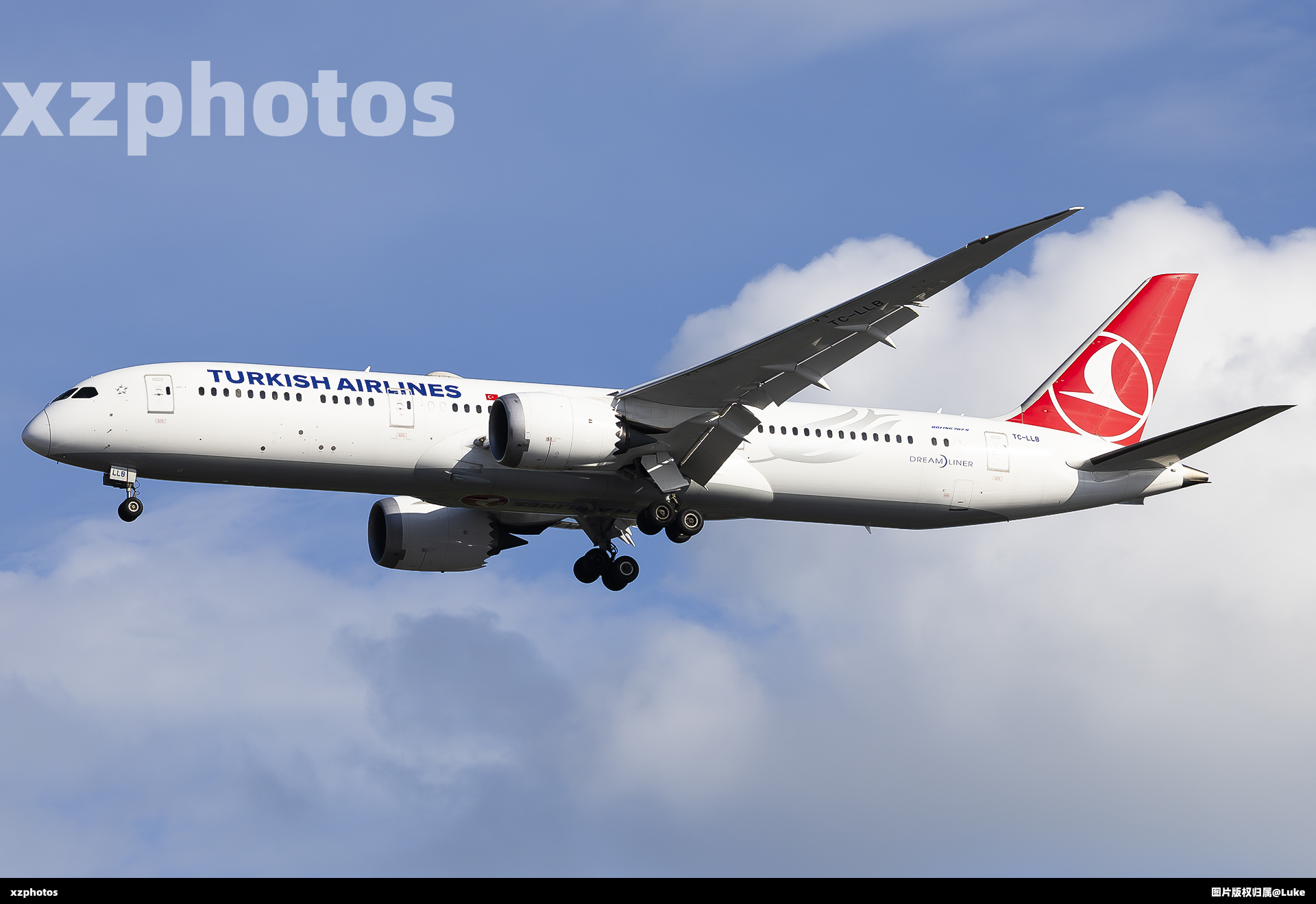 TC-LLB