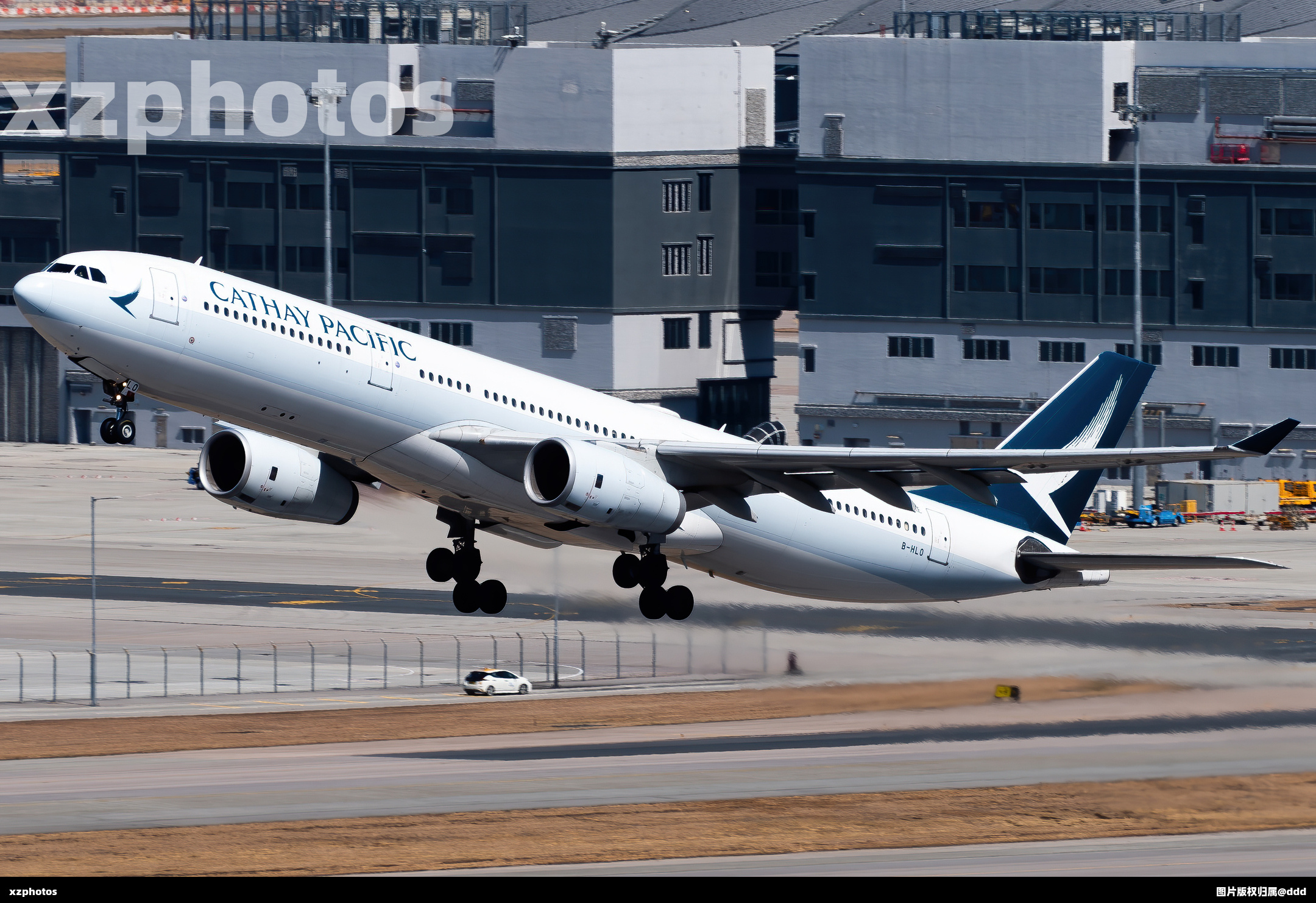 B-HLO