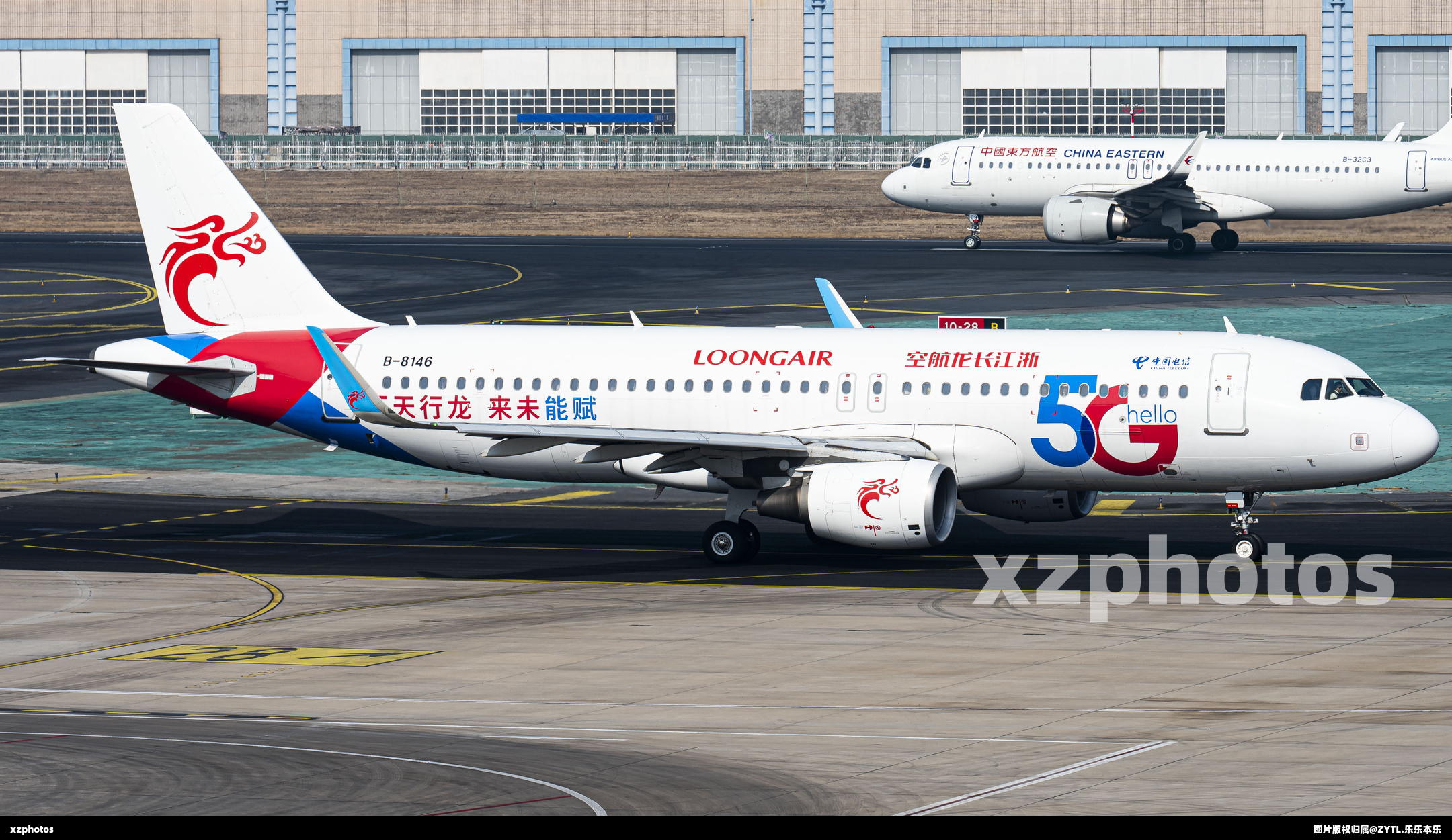B-8146