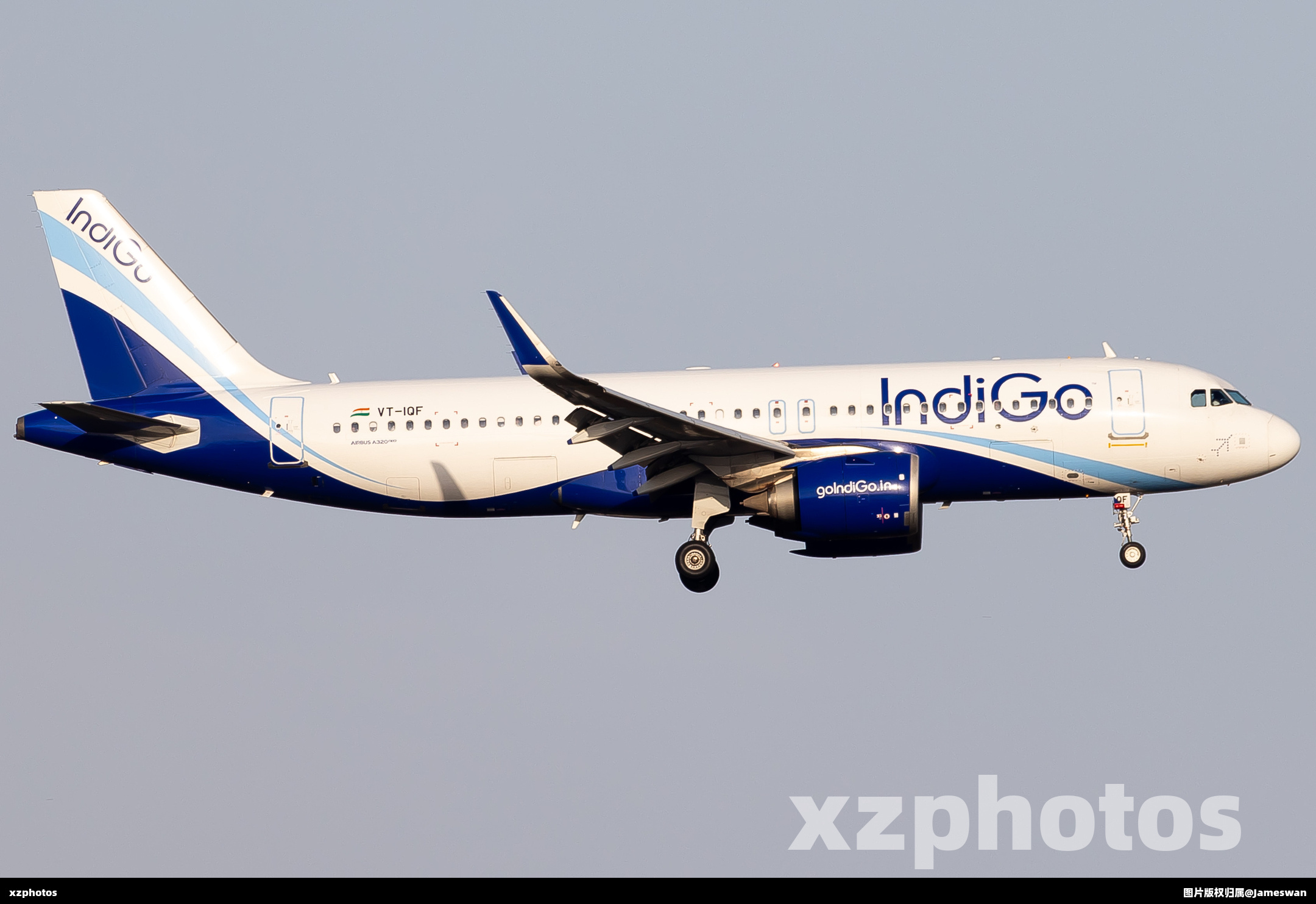 VT-IQF