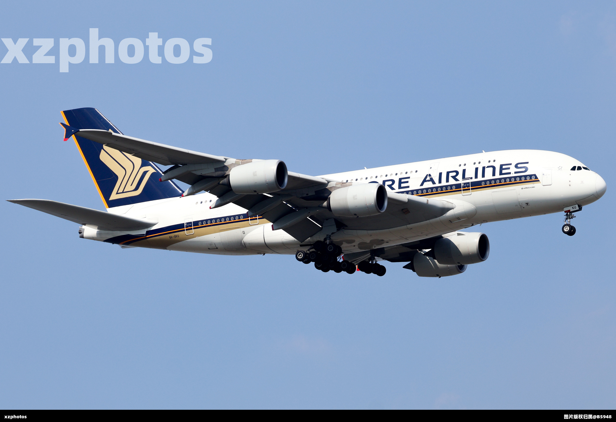 新加坡航空
