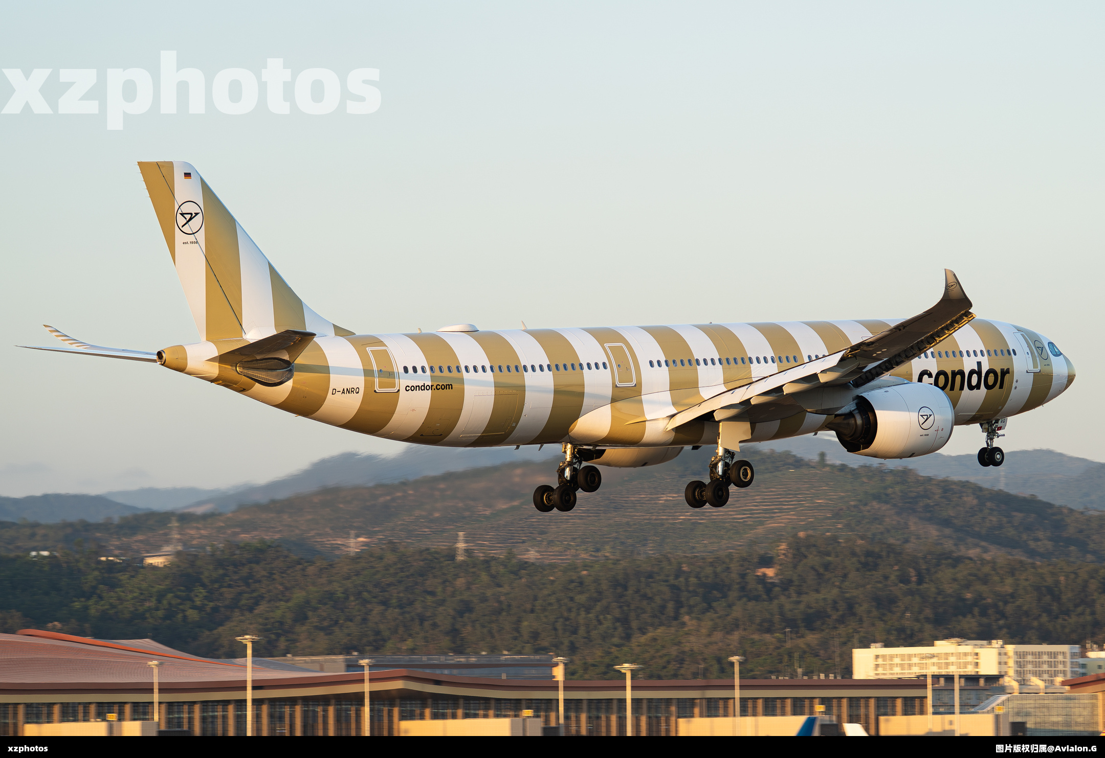 D-ANRQ