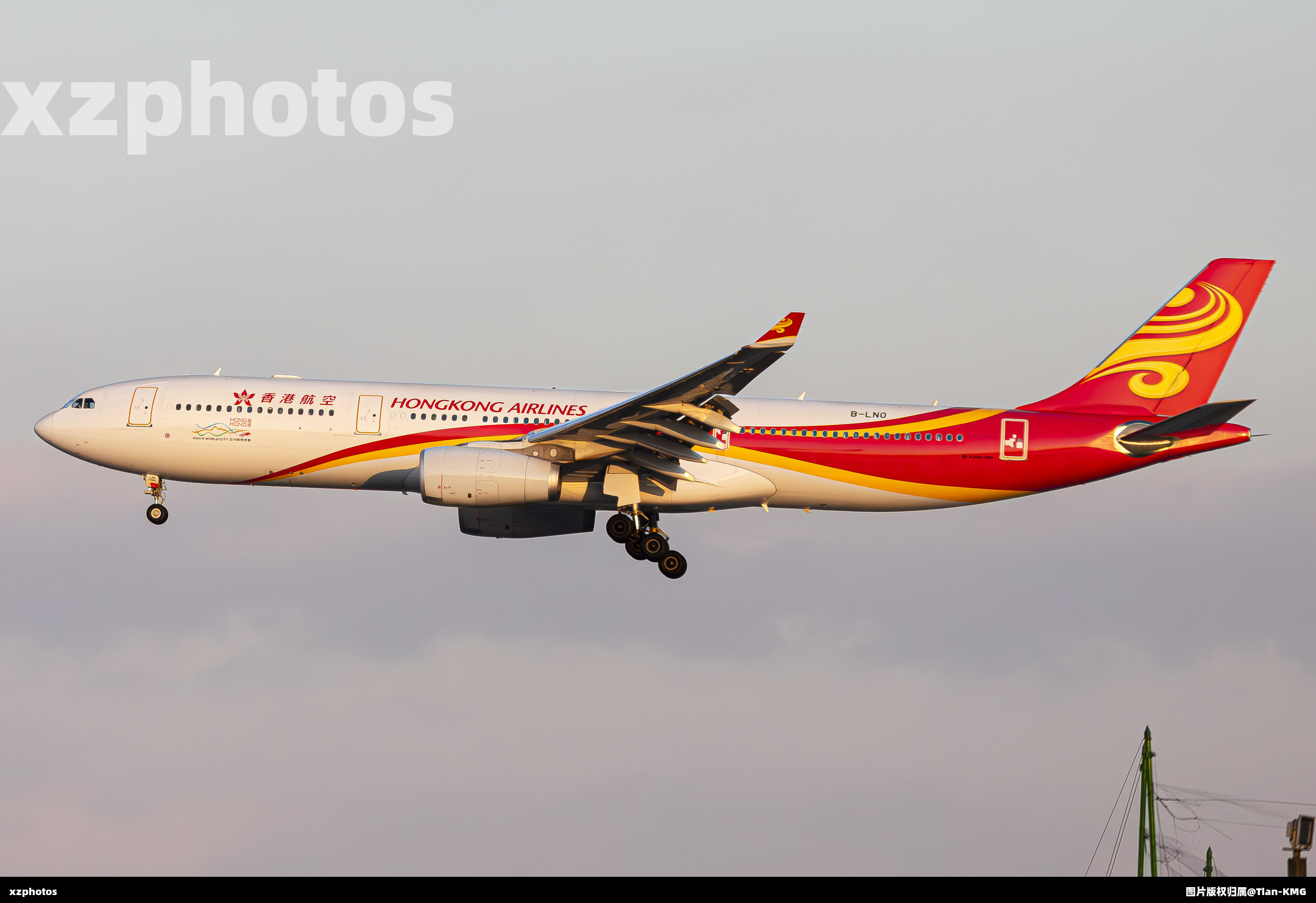 B-LNO