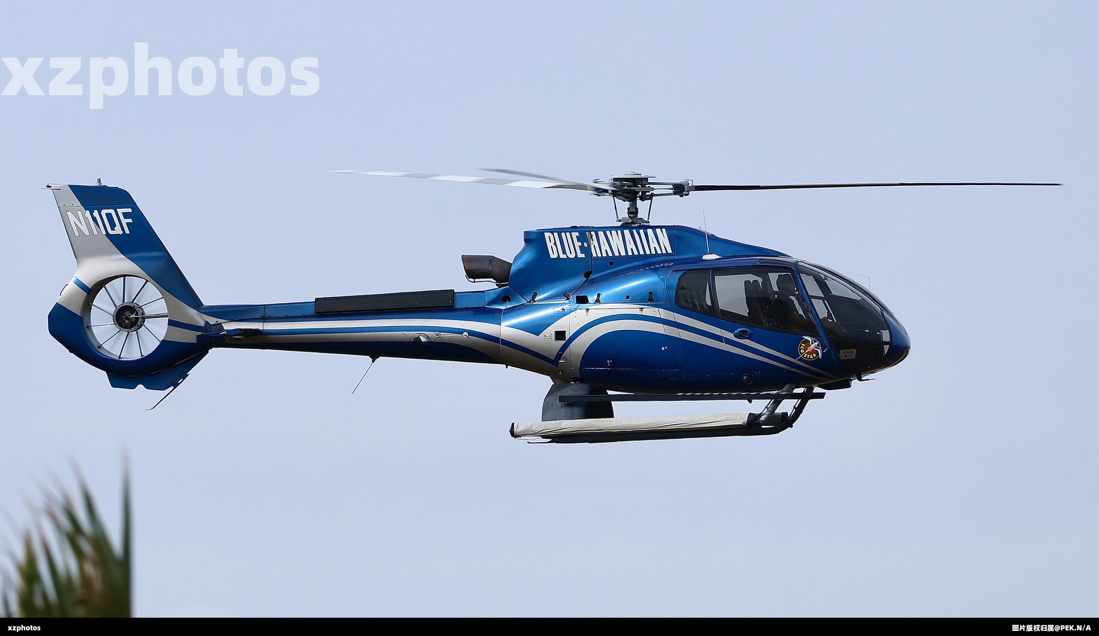 N11QF