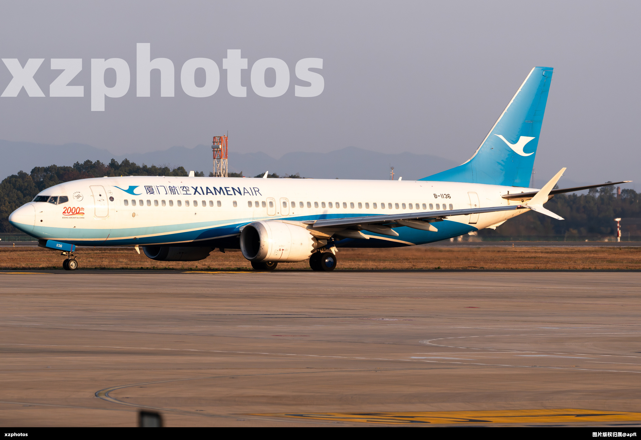 737黄金光
