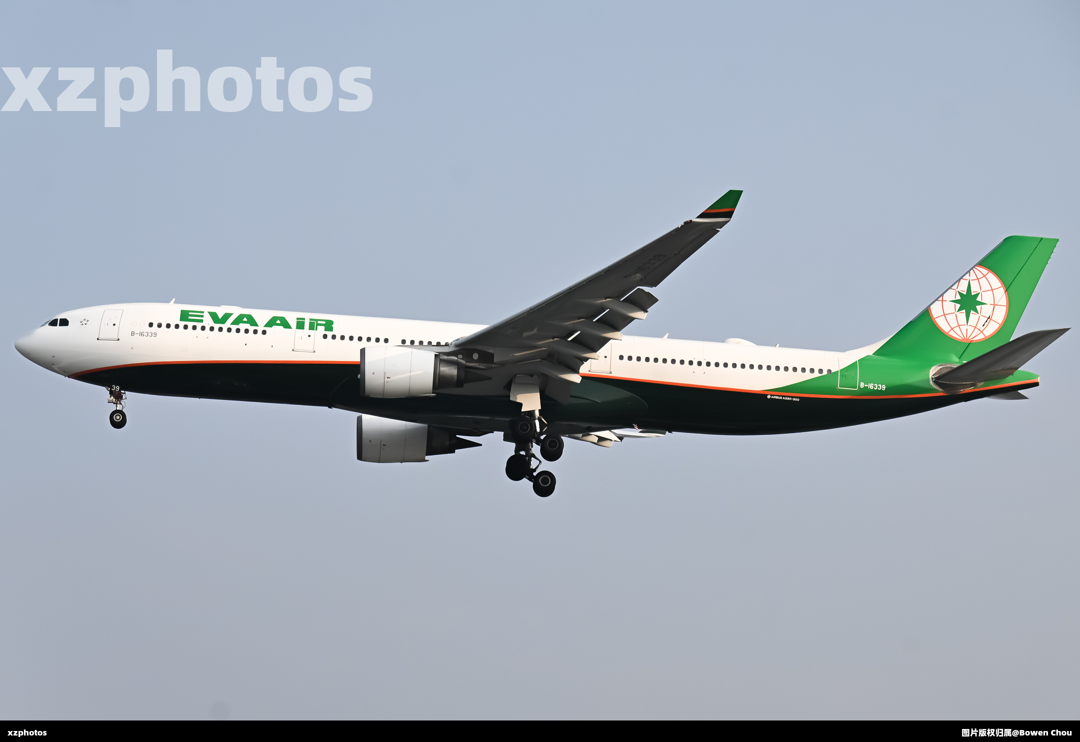 B-16339
