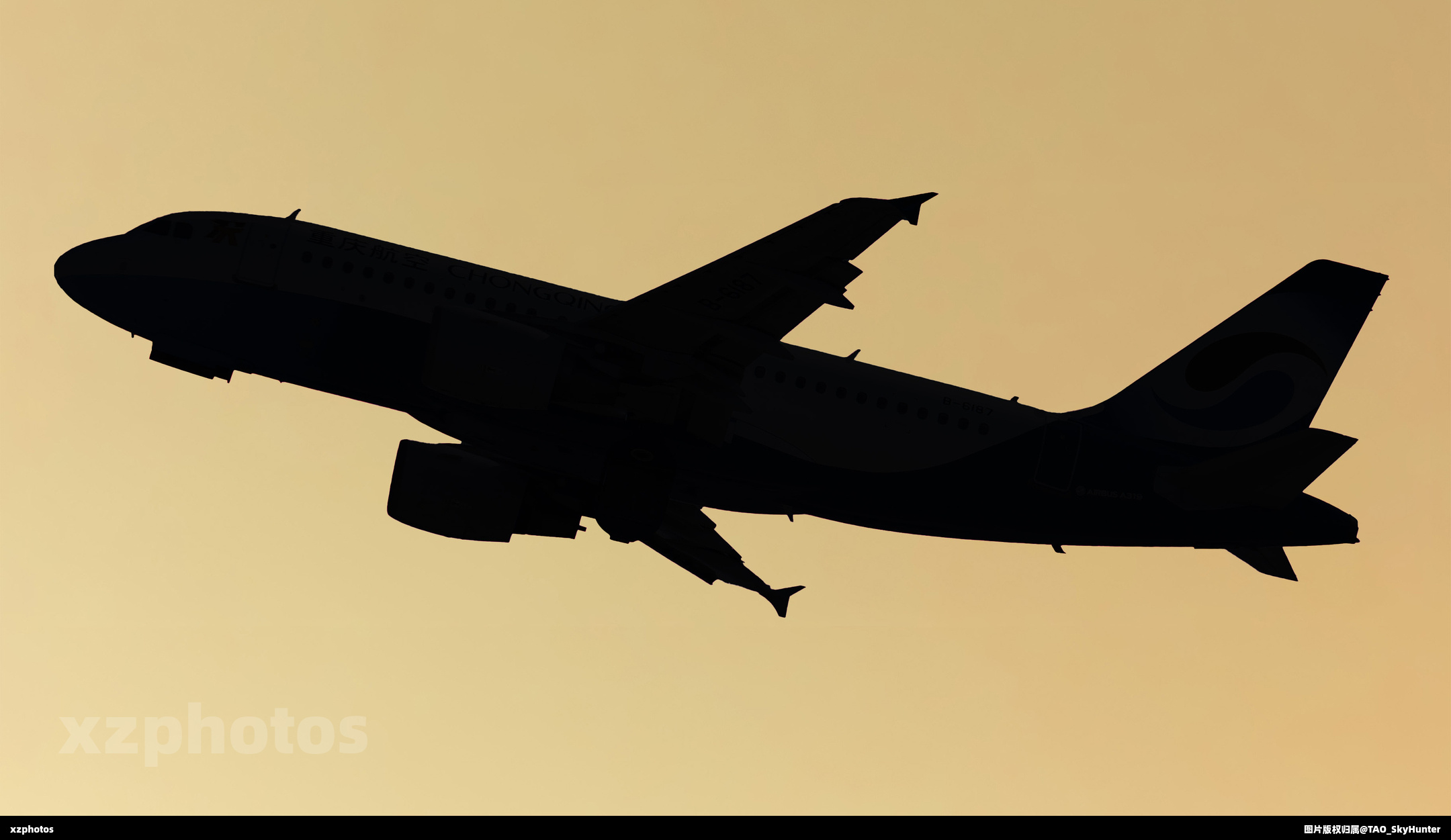 B-6419