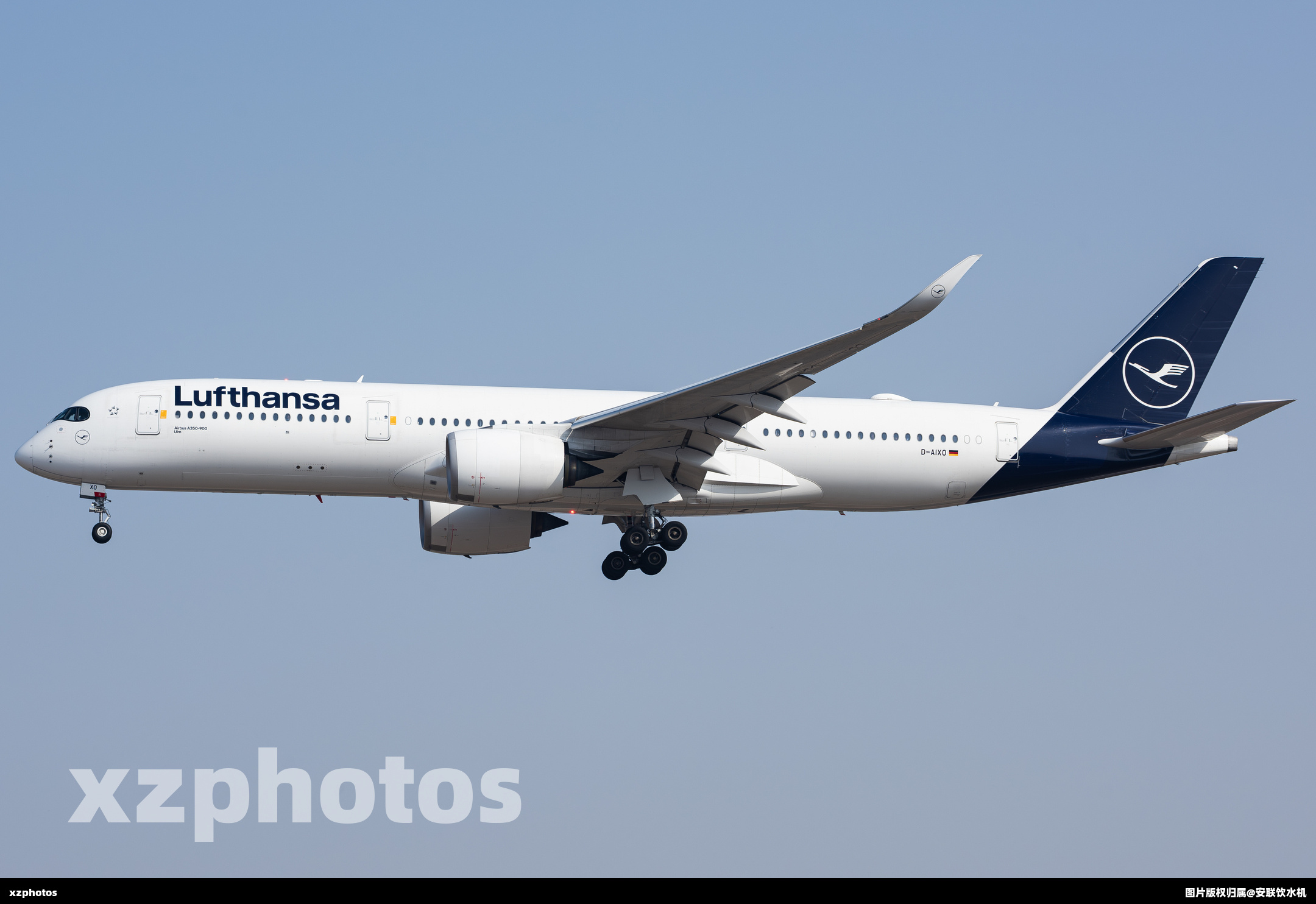 D-AIXO