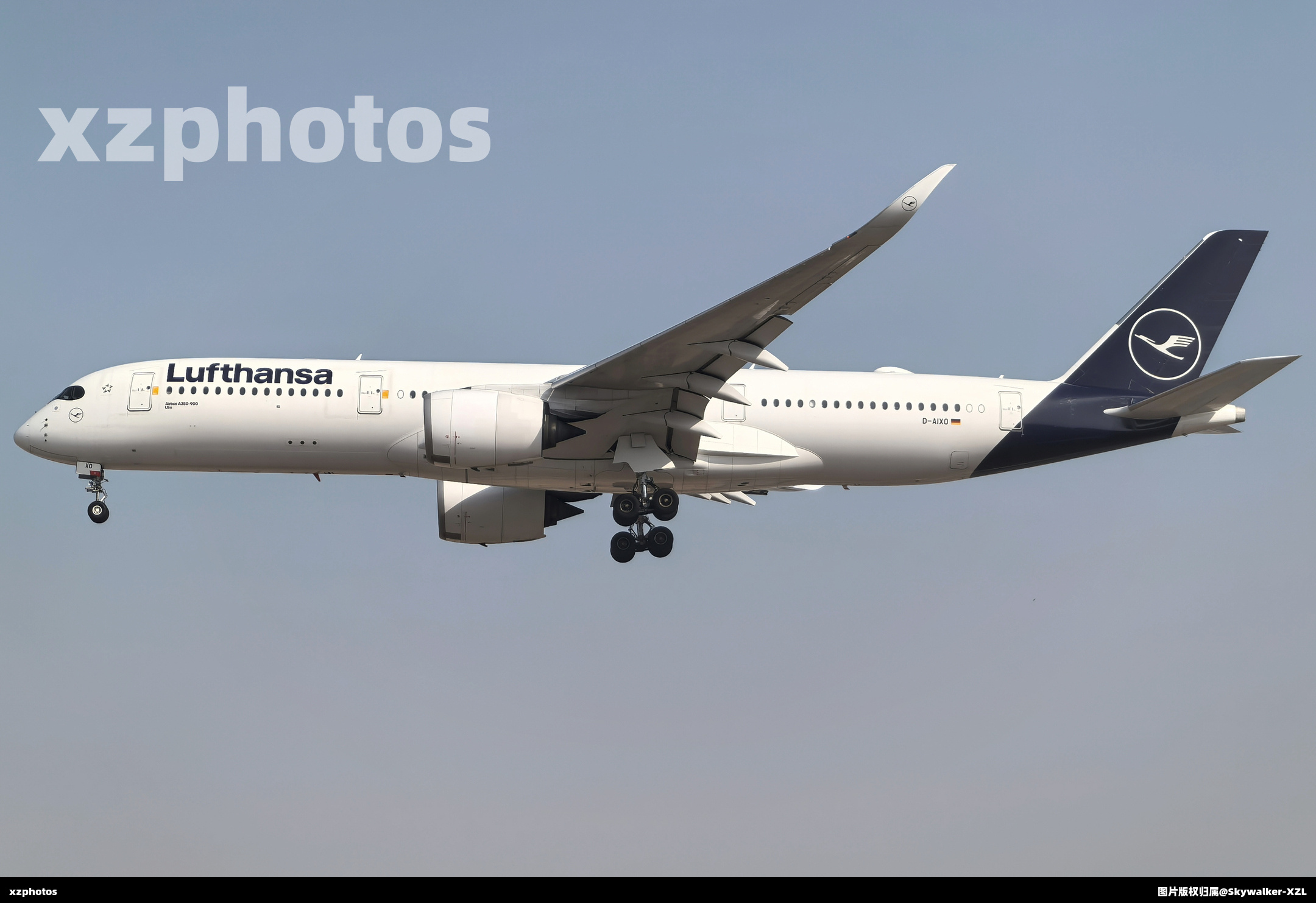 D-AIXO