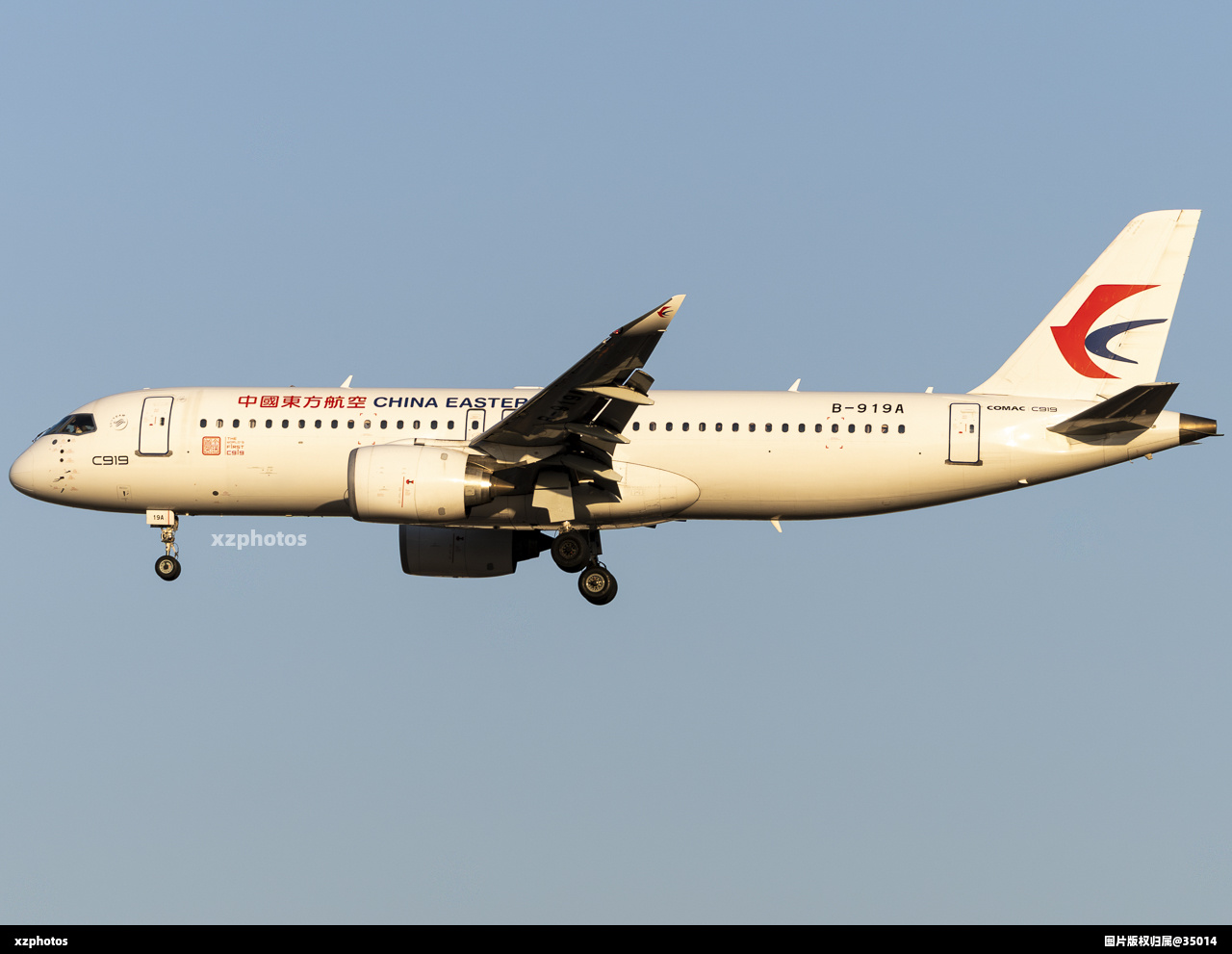 B-919A