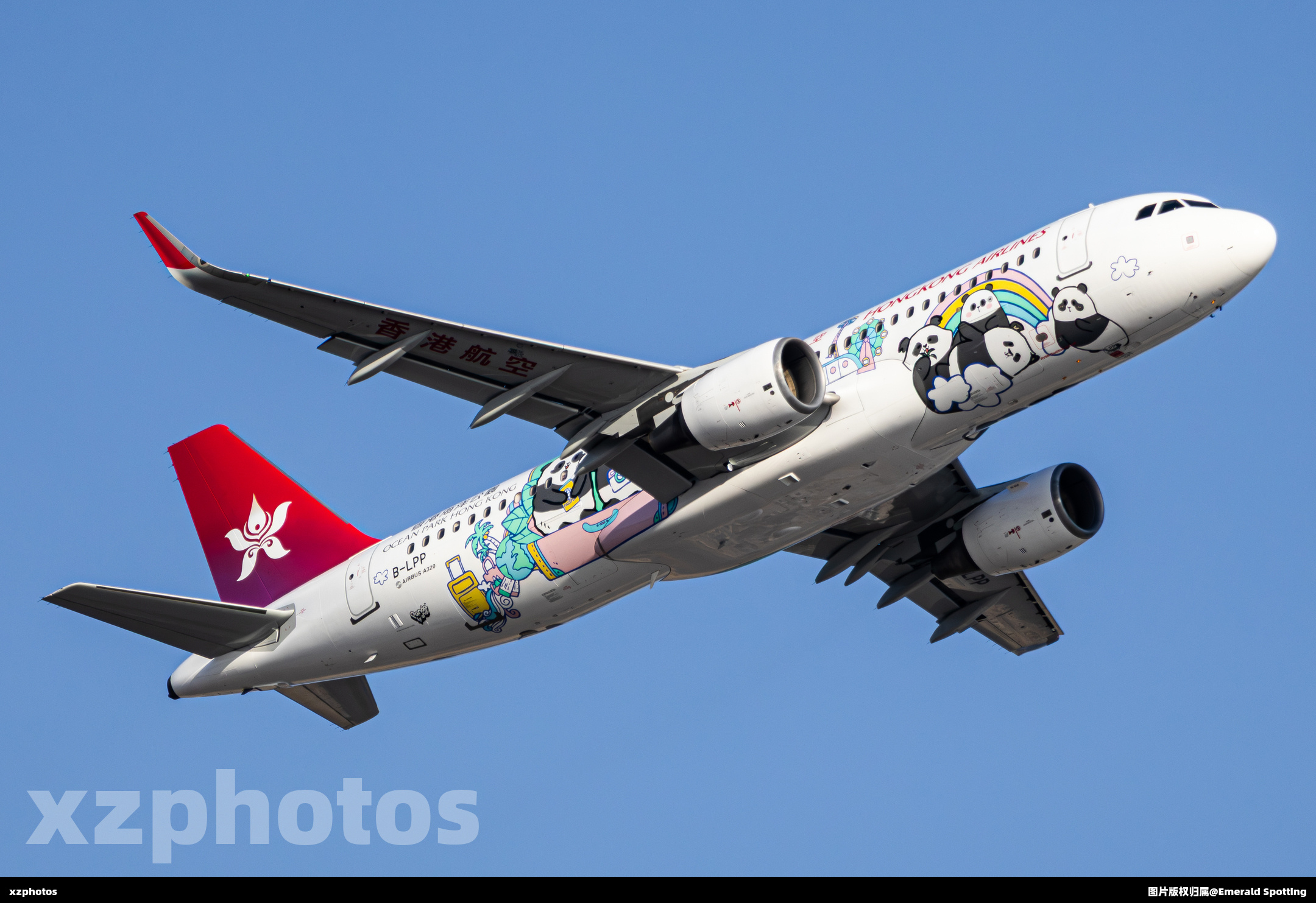 B-LPP