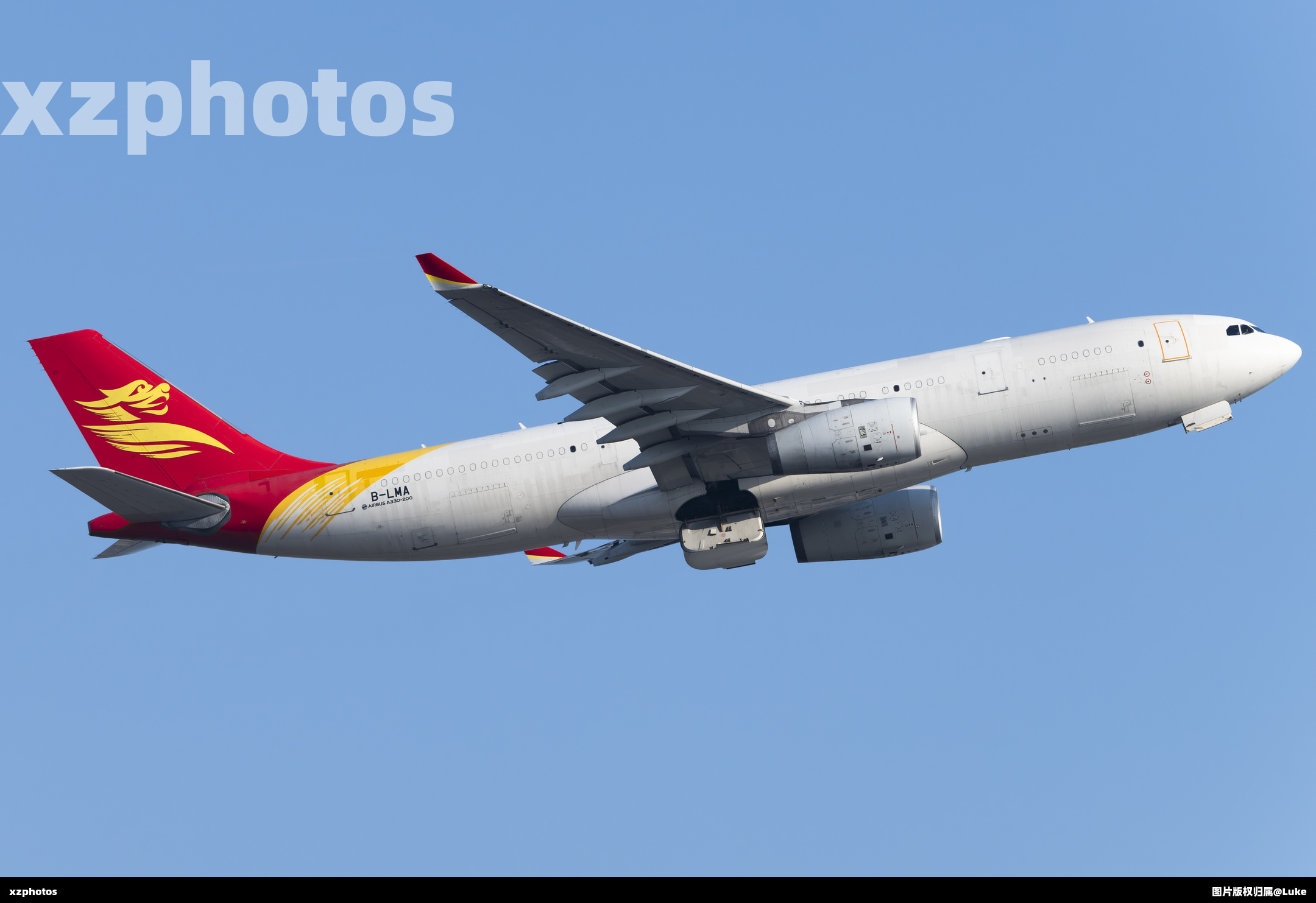 B-LMA