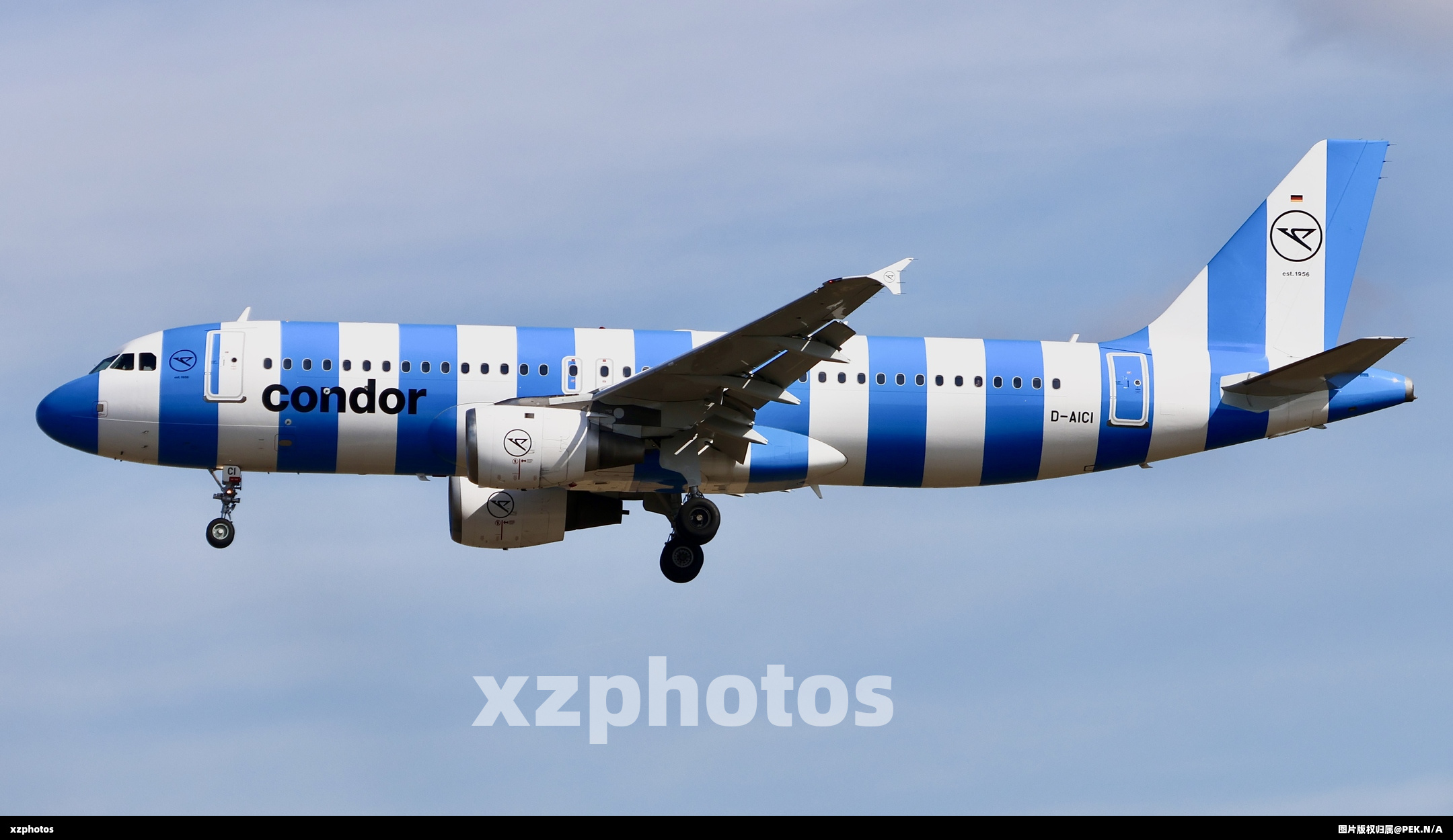 D-AICI
