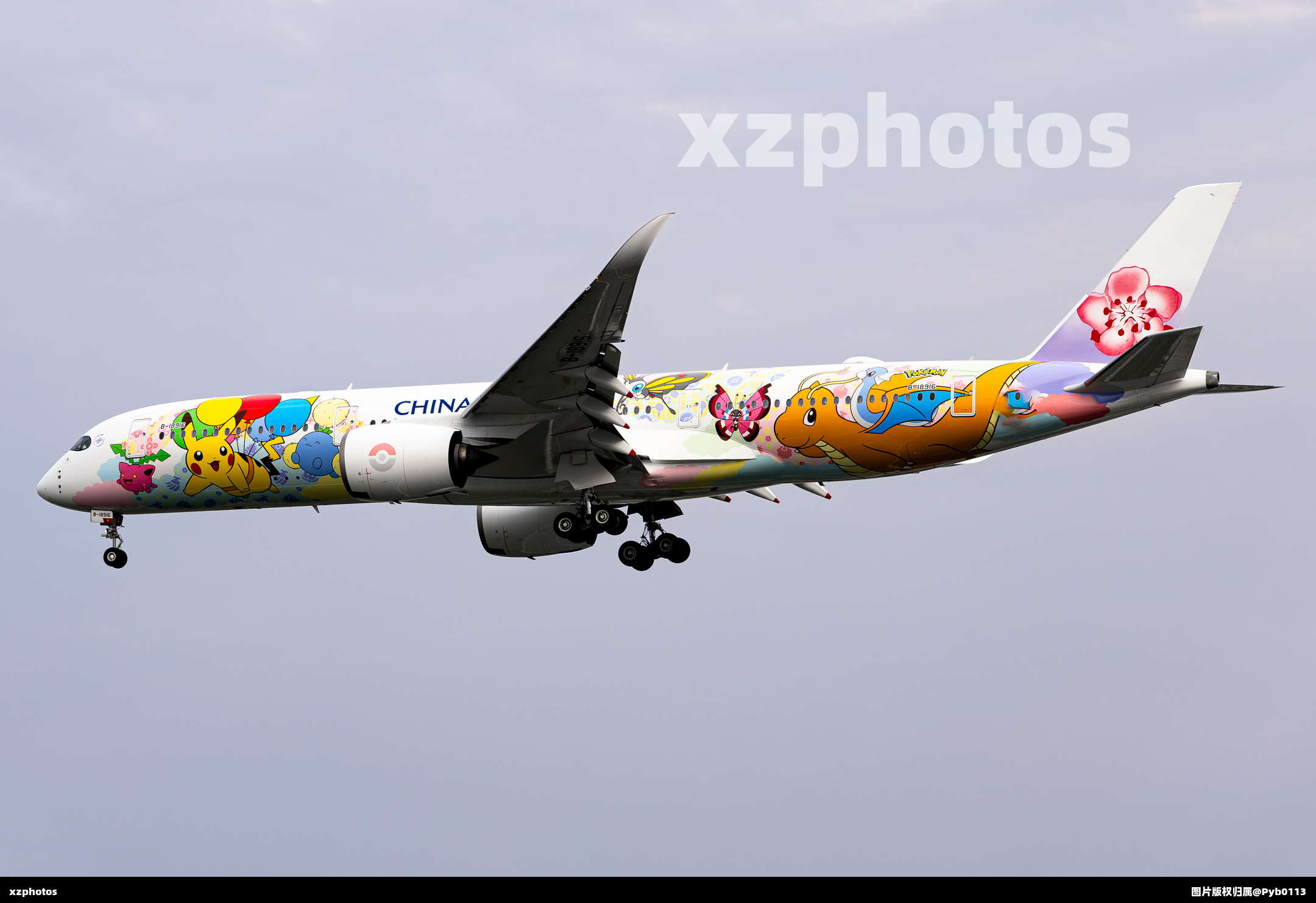 中華航空最新寶可夢彩繪