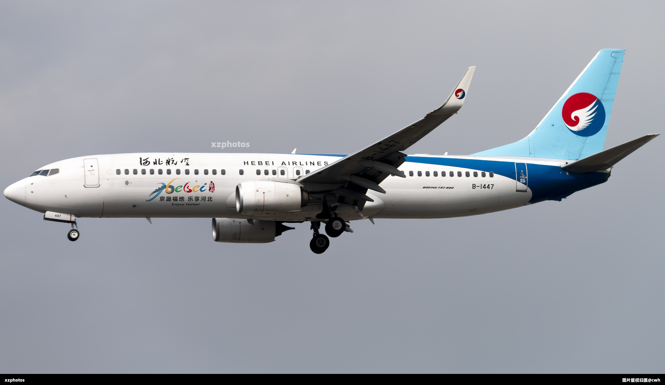 B-1447