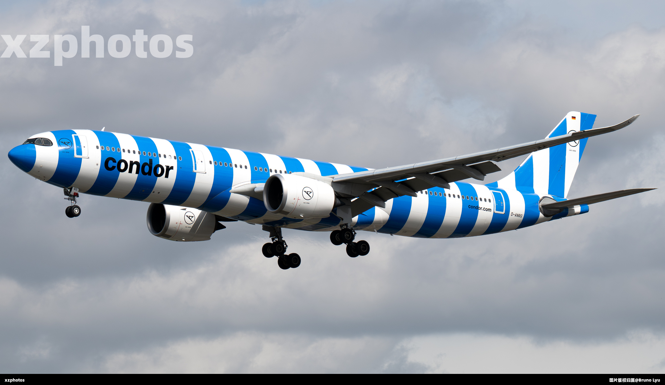 D-ANRG