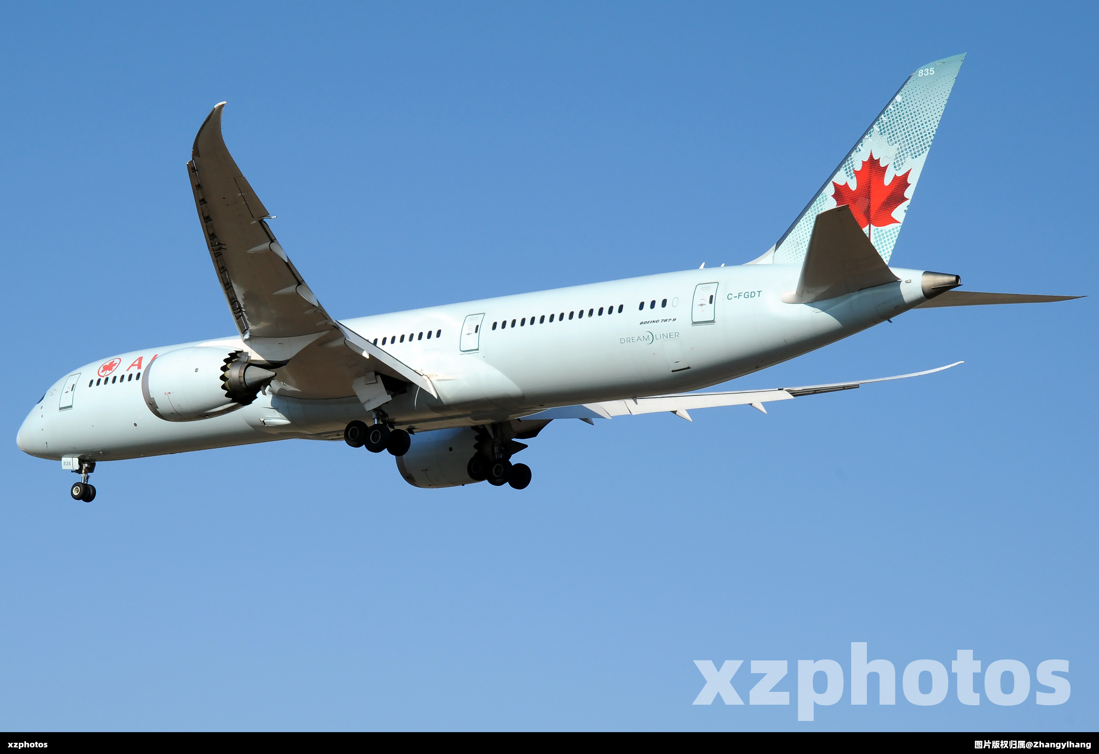 C-FGDT