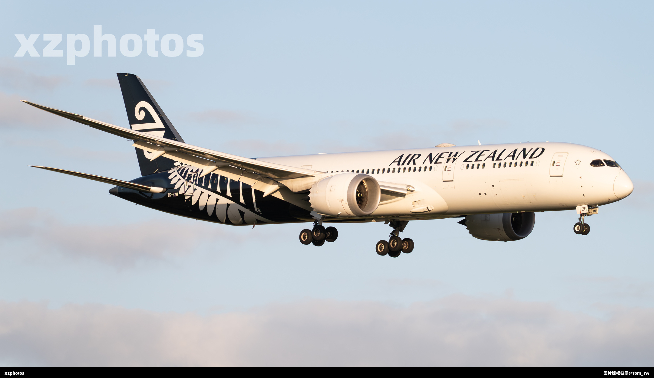 新西兰航空B789 ZK-NZH金光降落FOR XZ