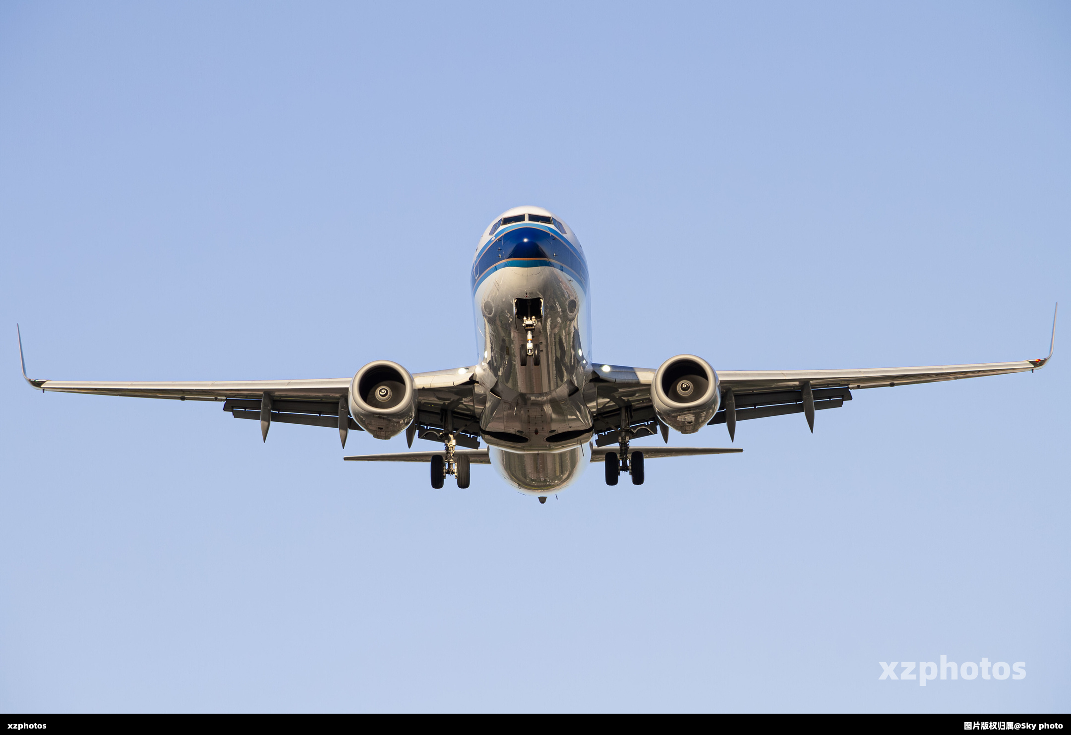 B-5446
