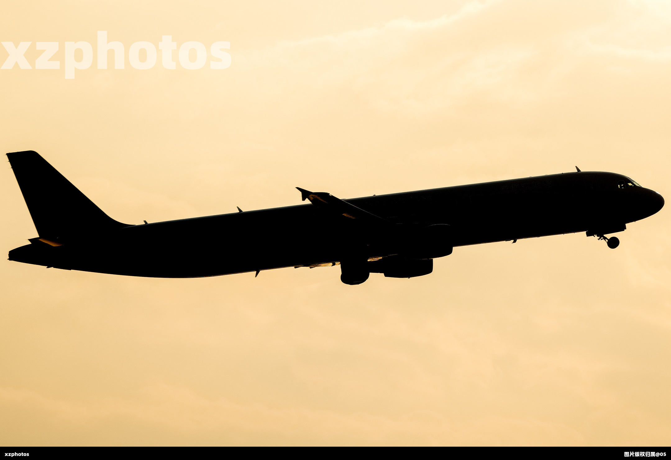 B-8289