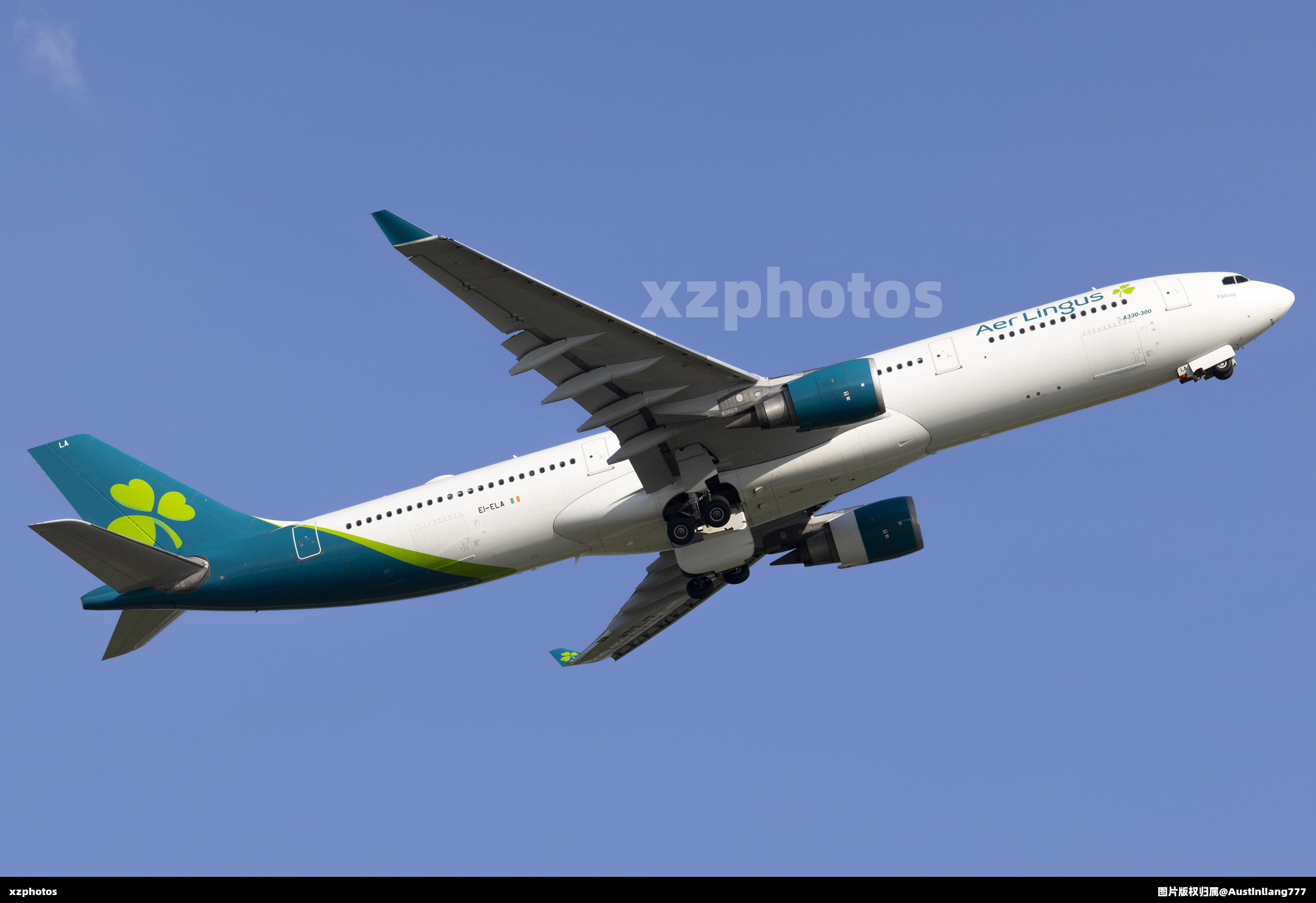 EI-ELA