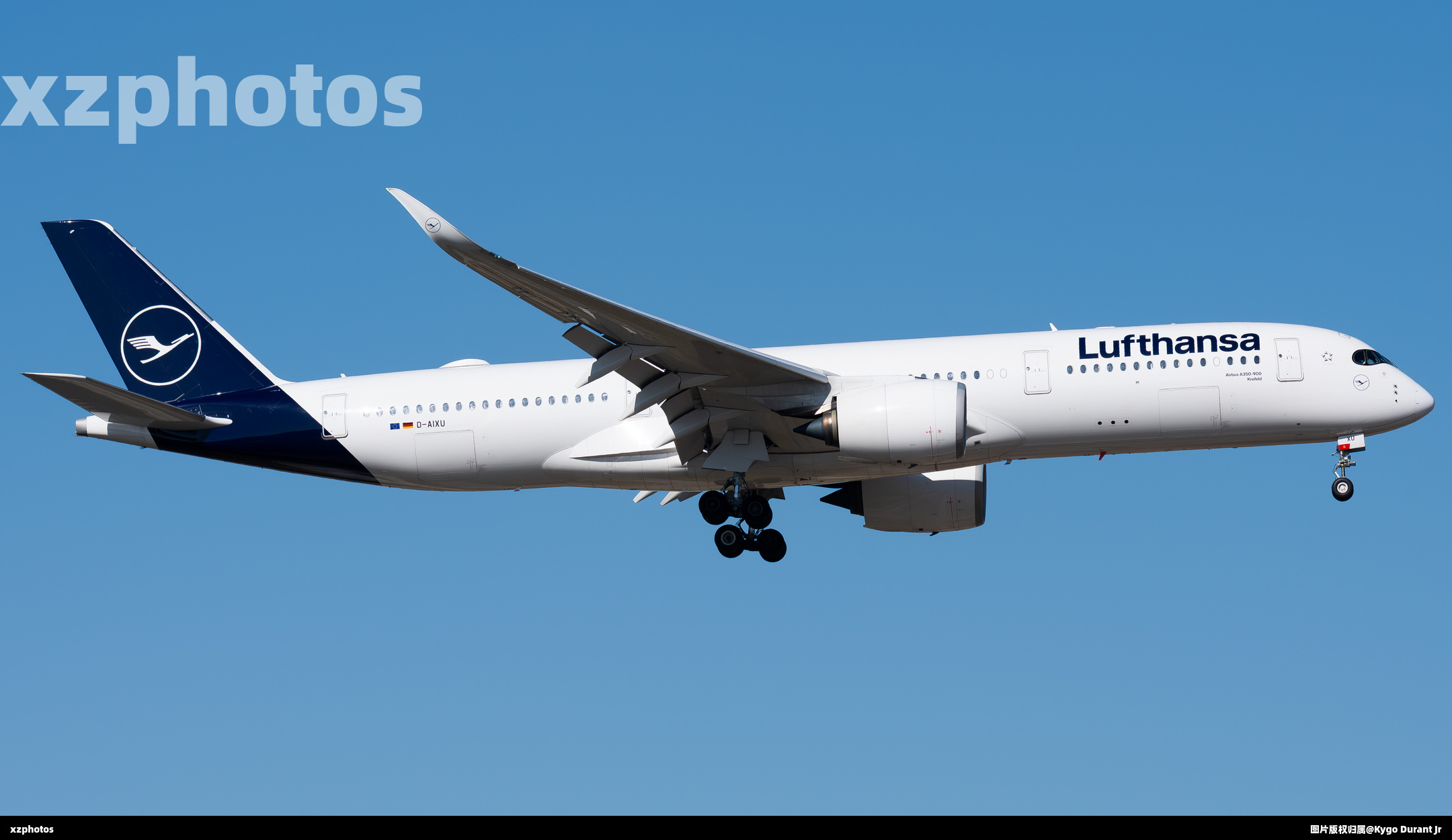 D-AIXU