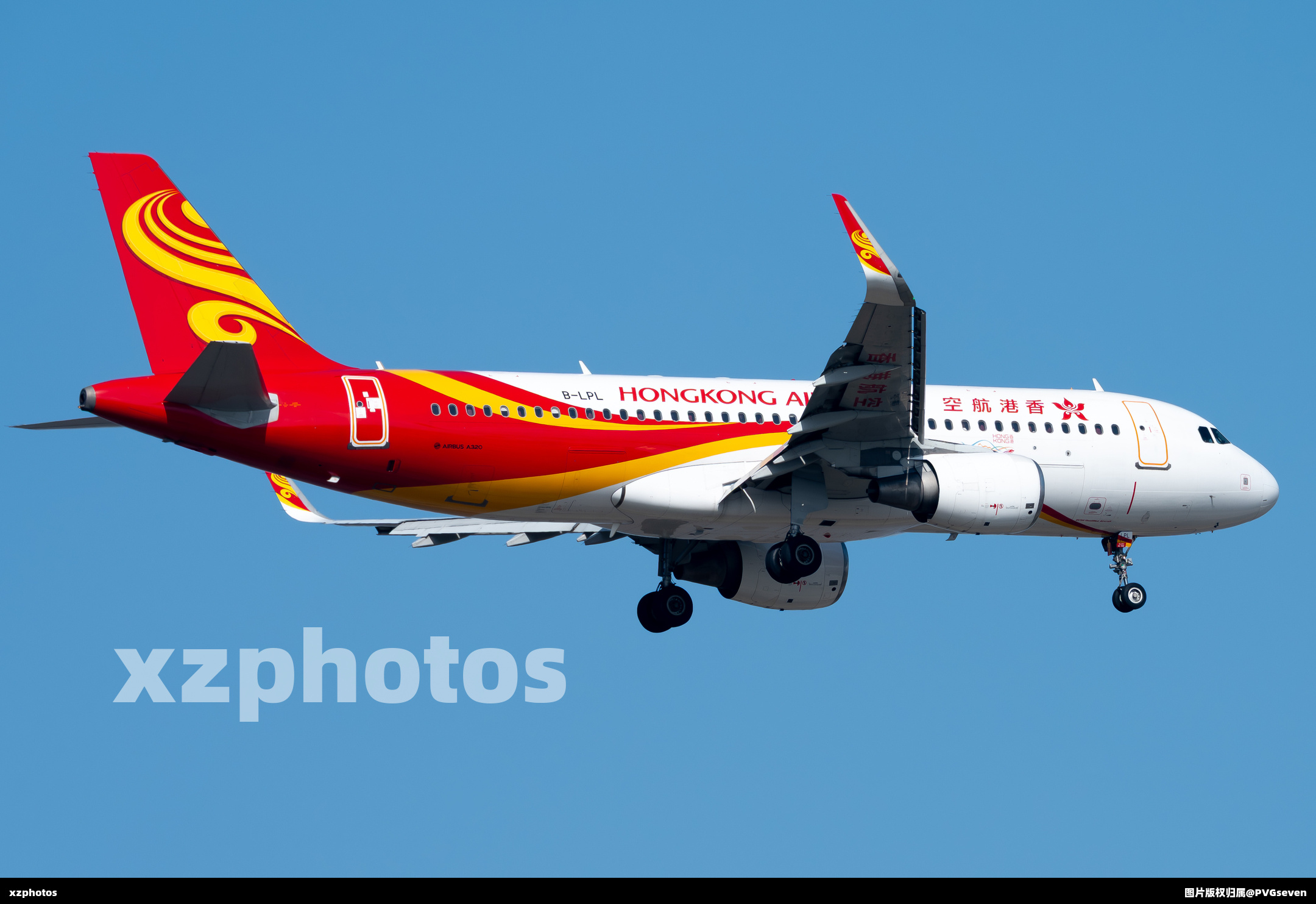 B-LPL
