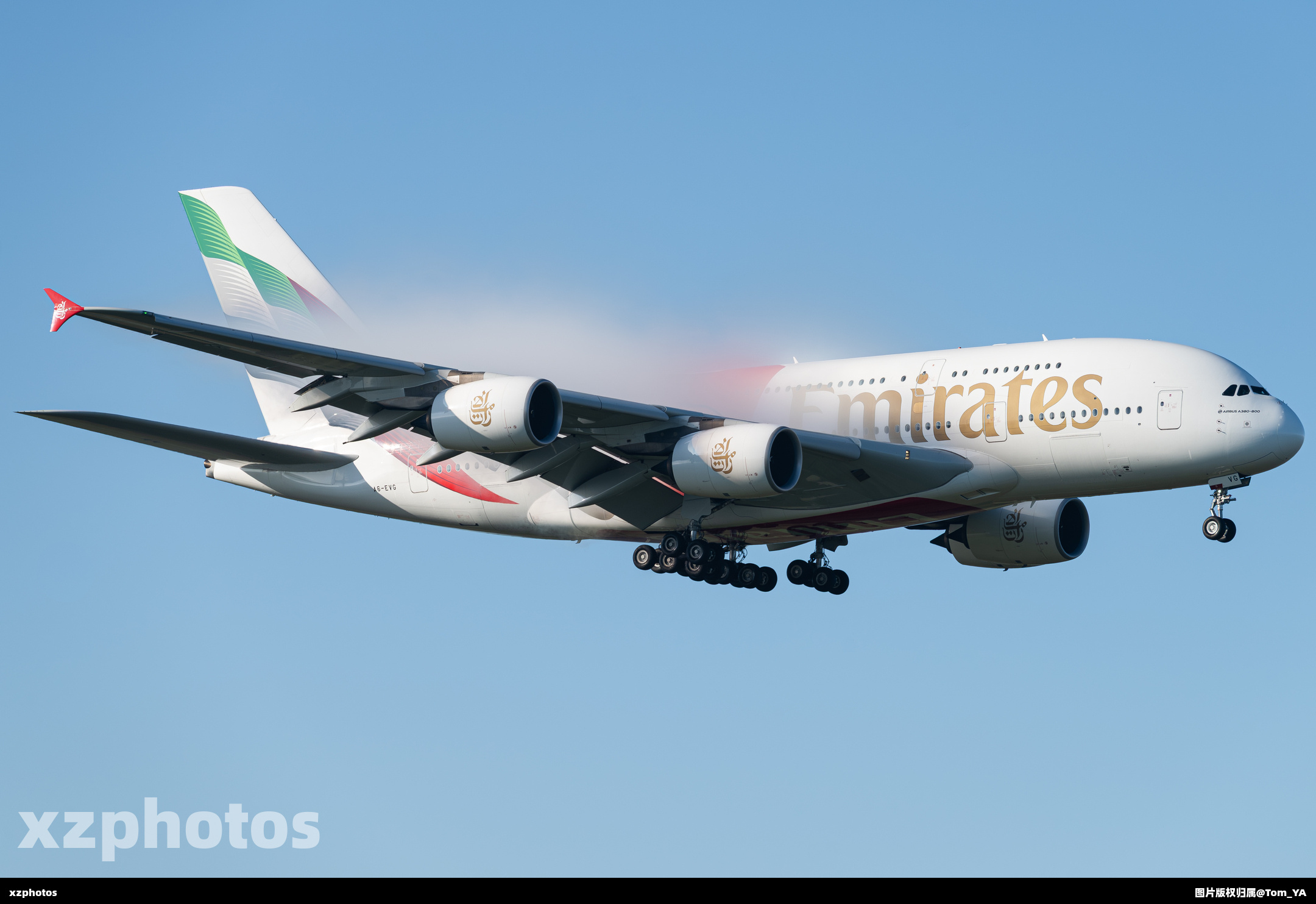 A6-EVG