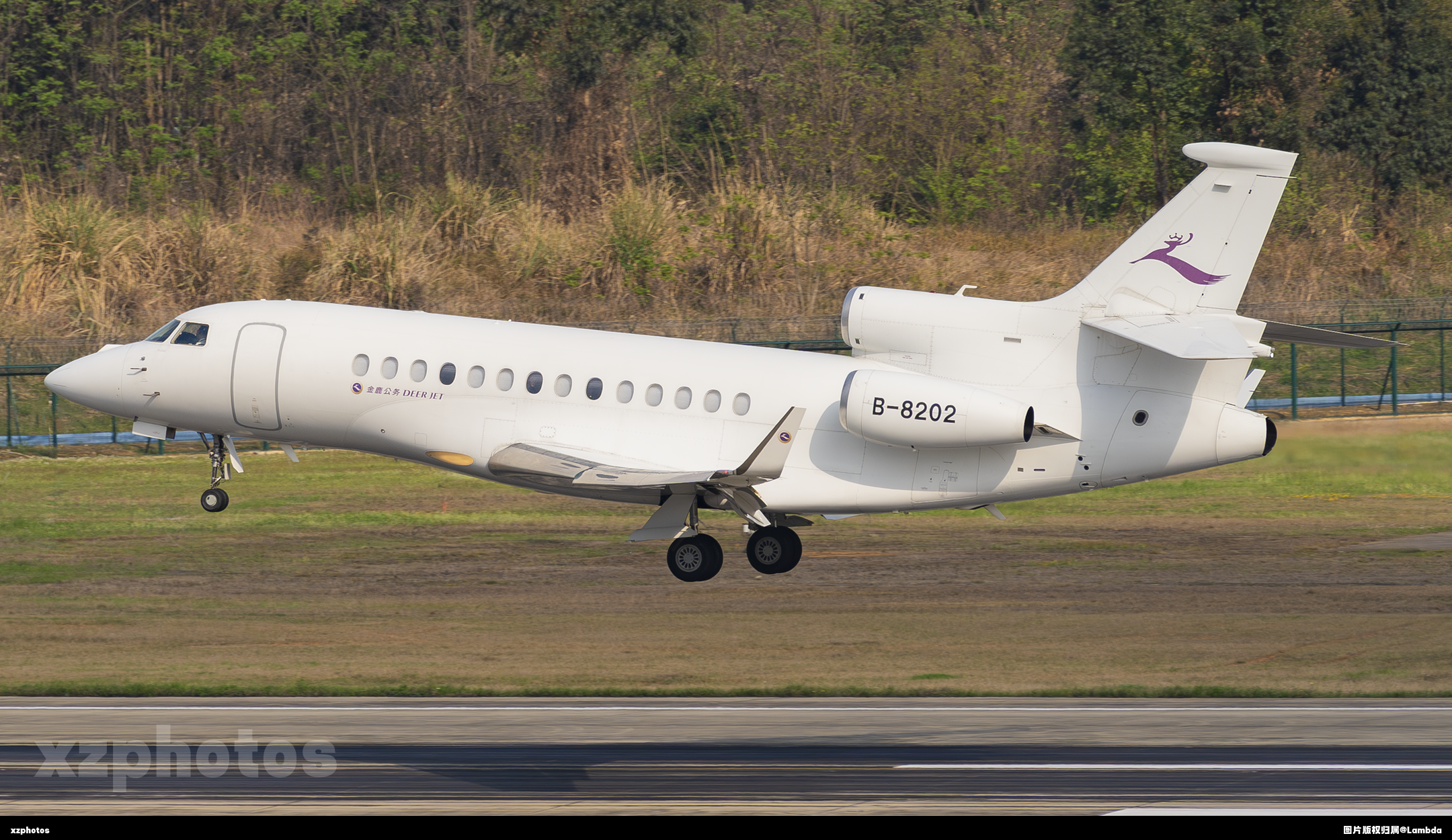 B-8202