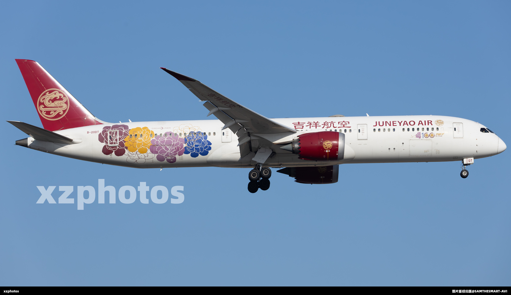 B-20DT (100th 787 for china)