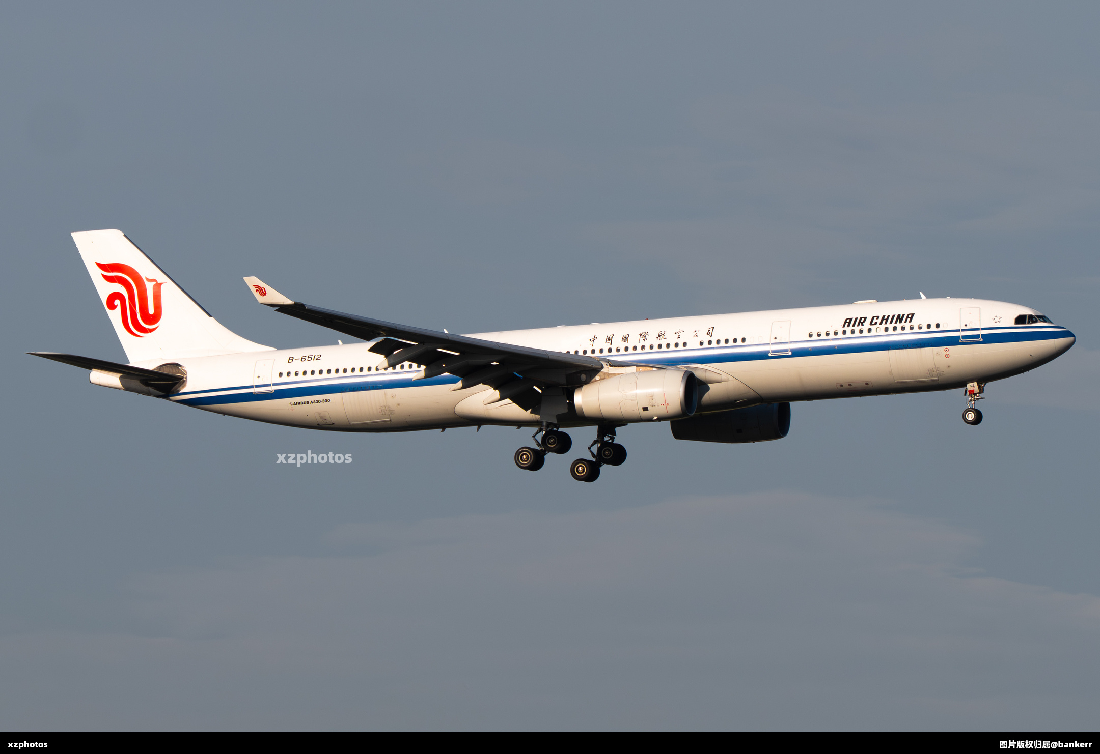 黄金光B-6512