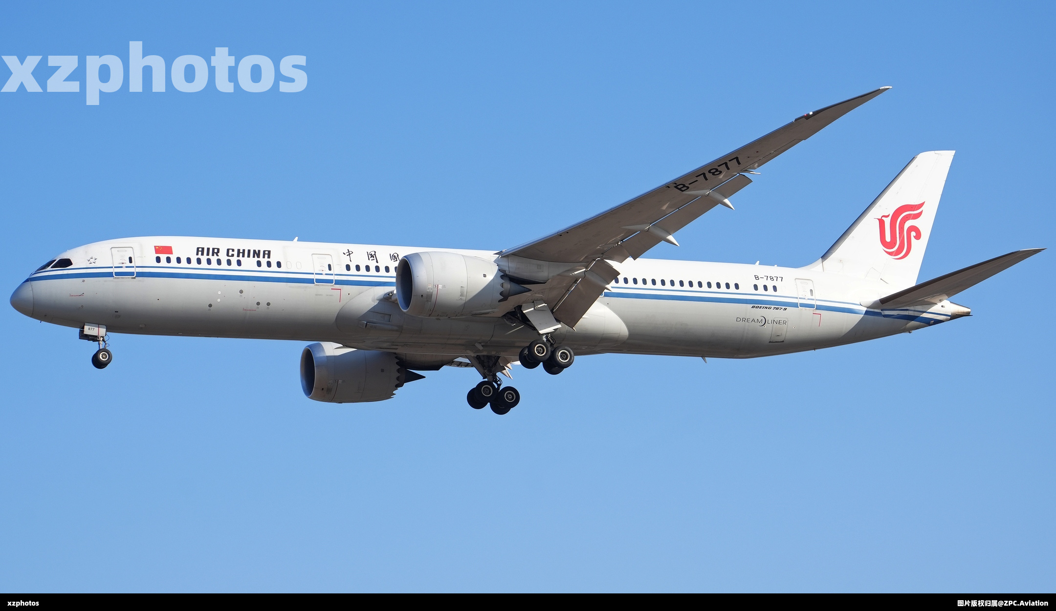 B-7877