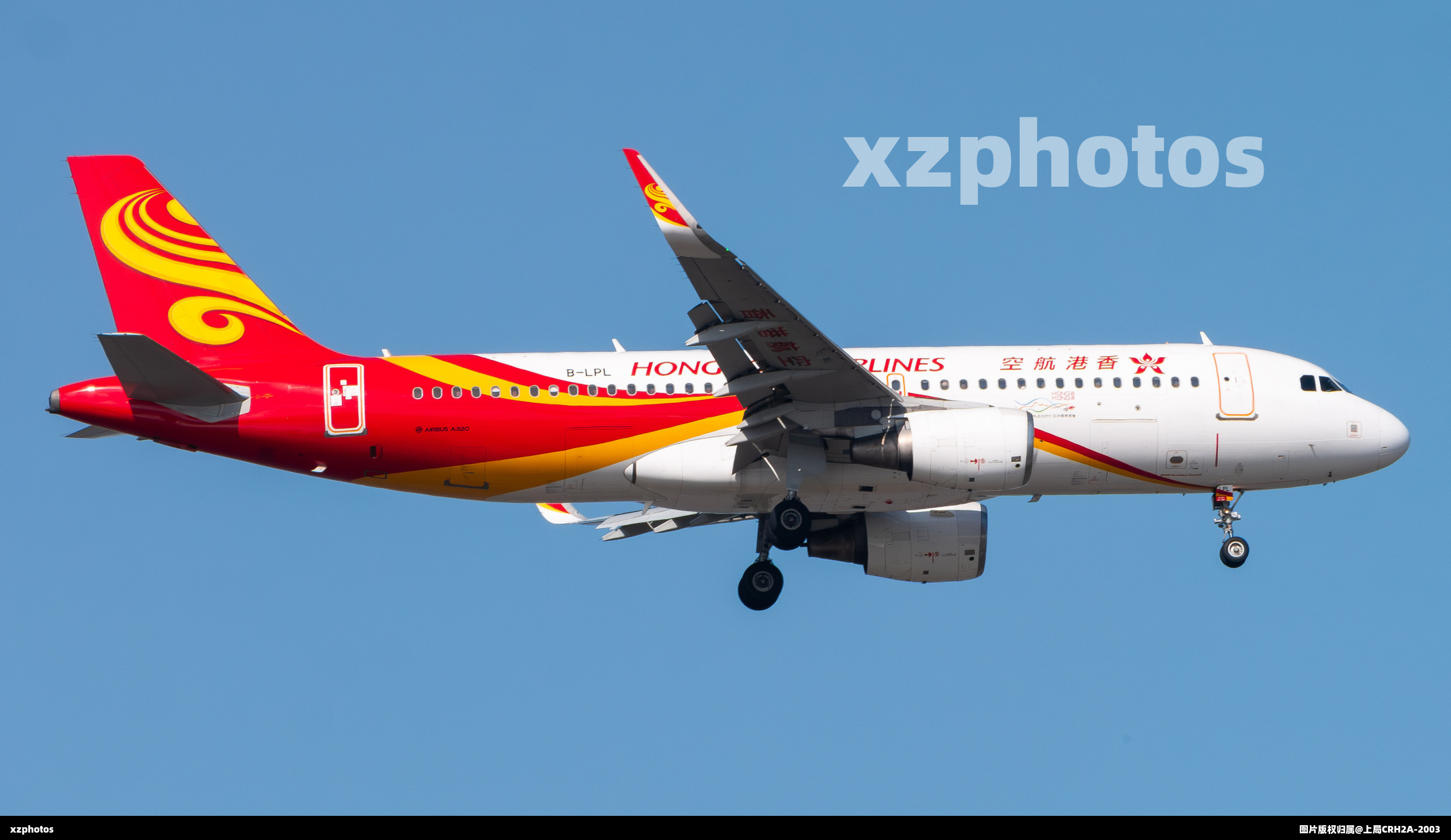 B-LPL