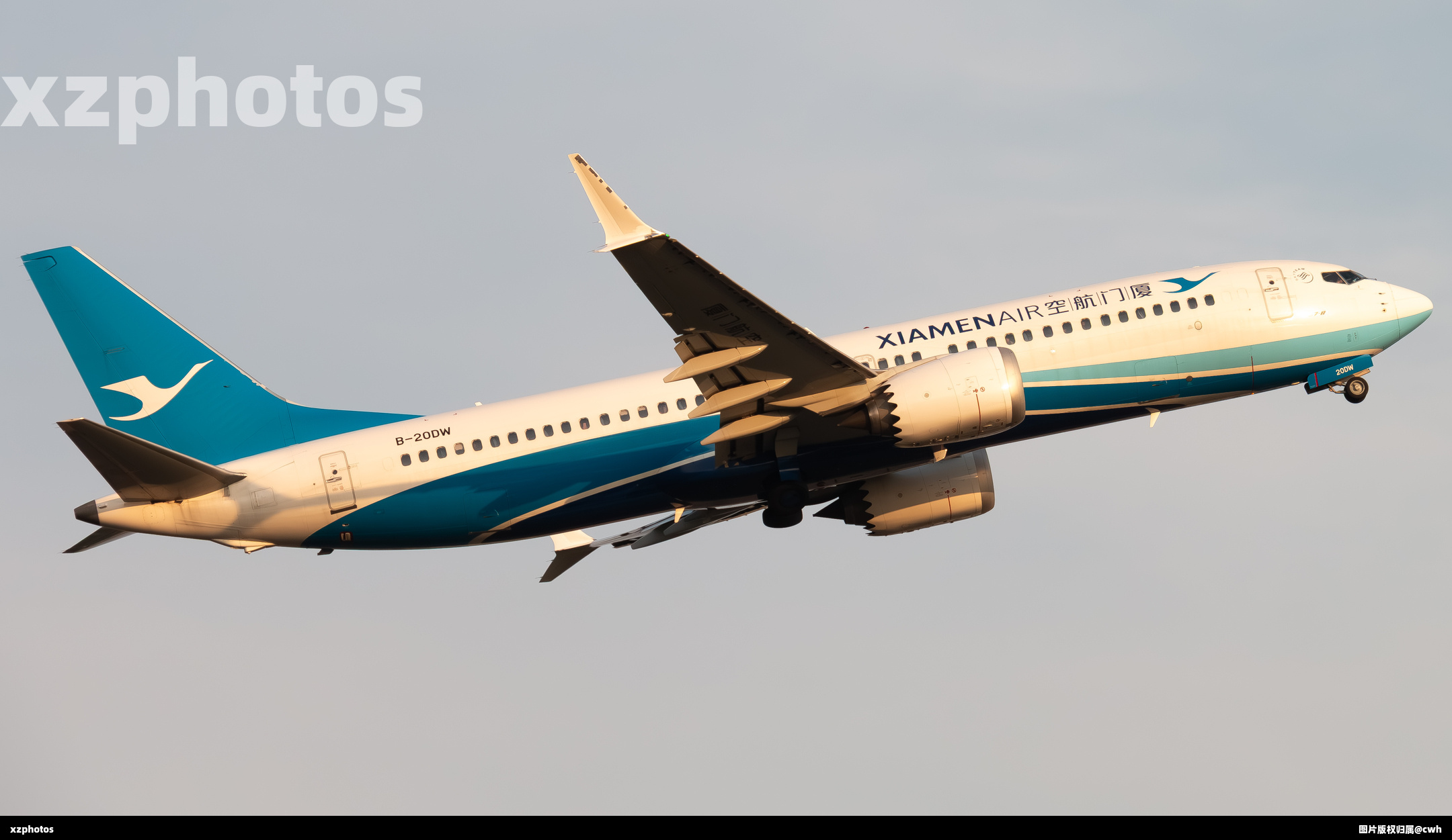 B-20DW