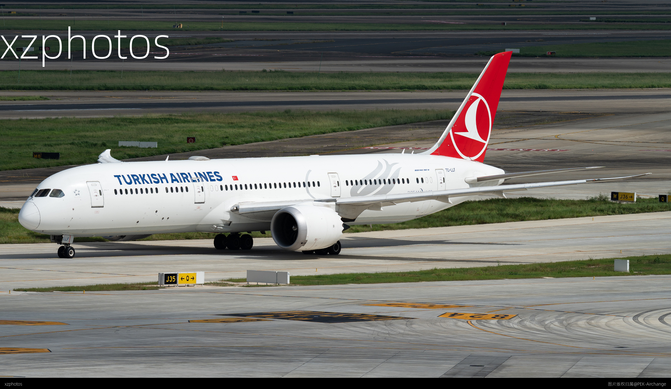 TC-LLF