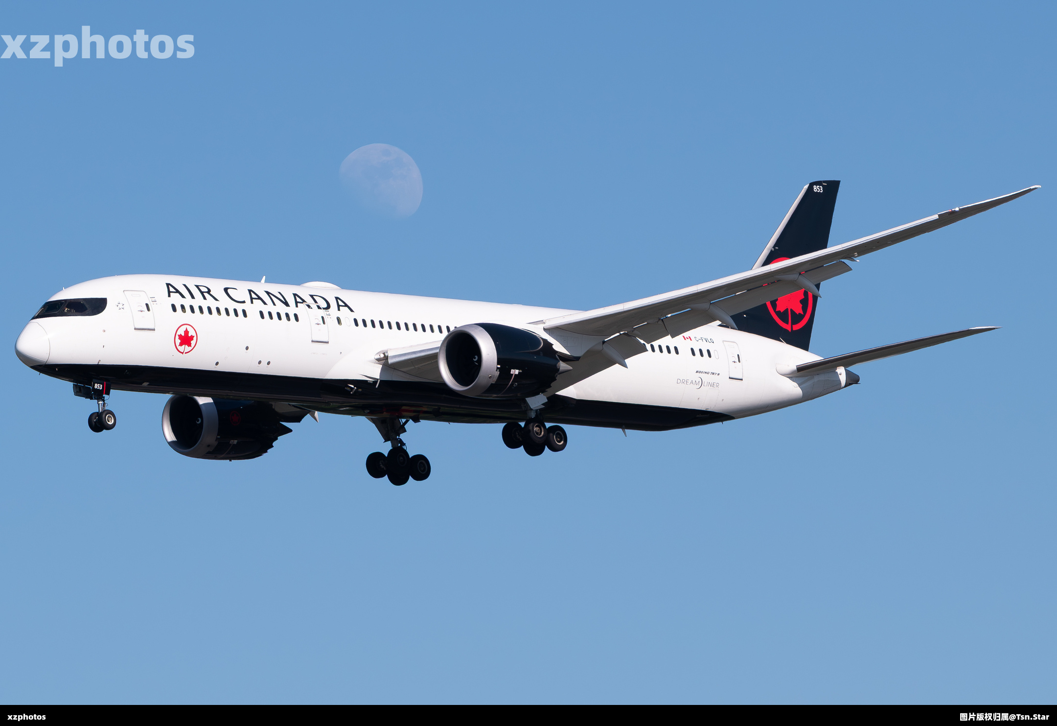 C-FVLQ
