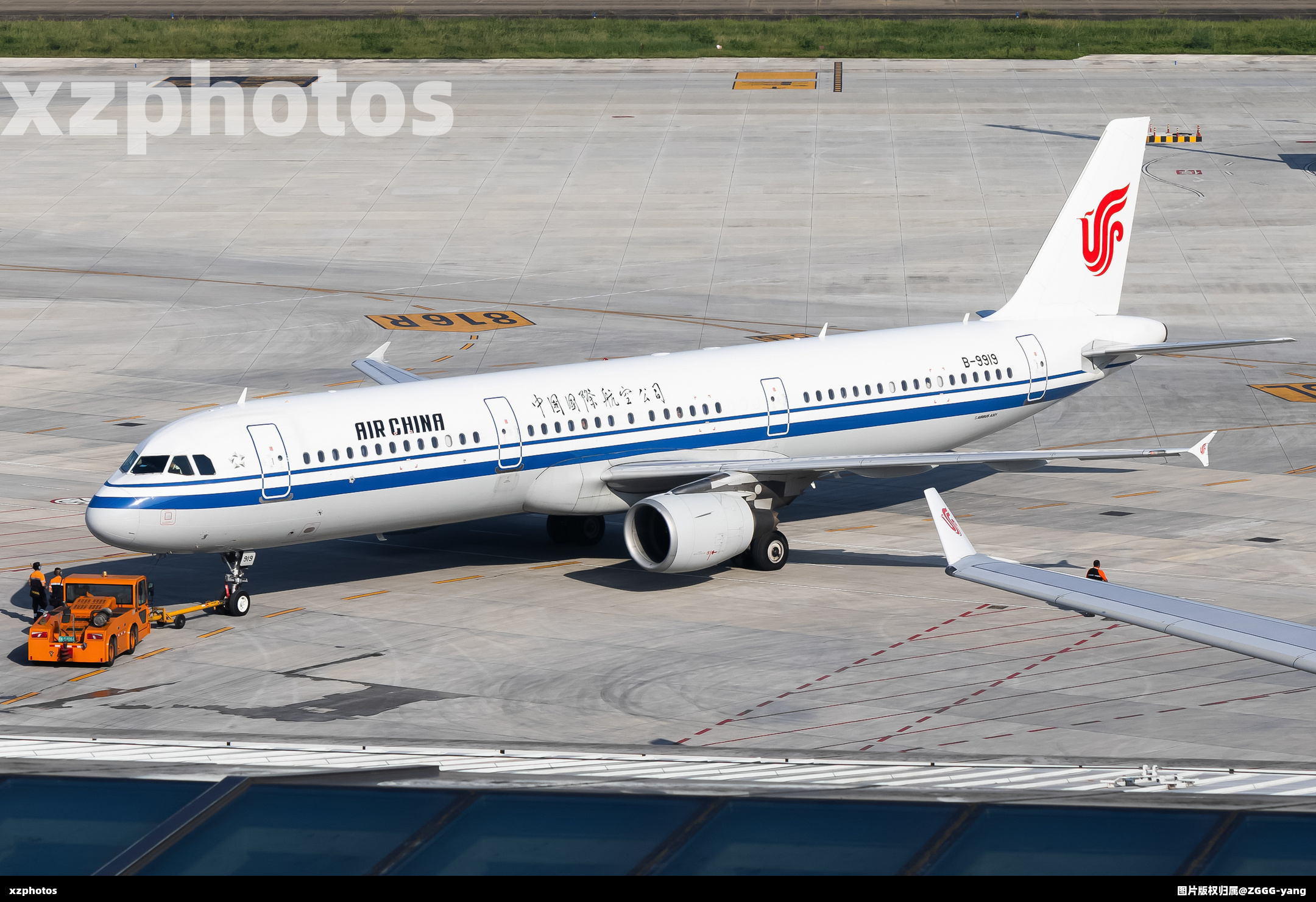 B-9919