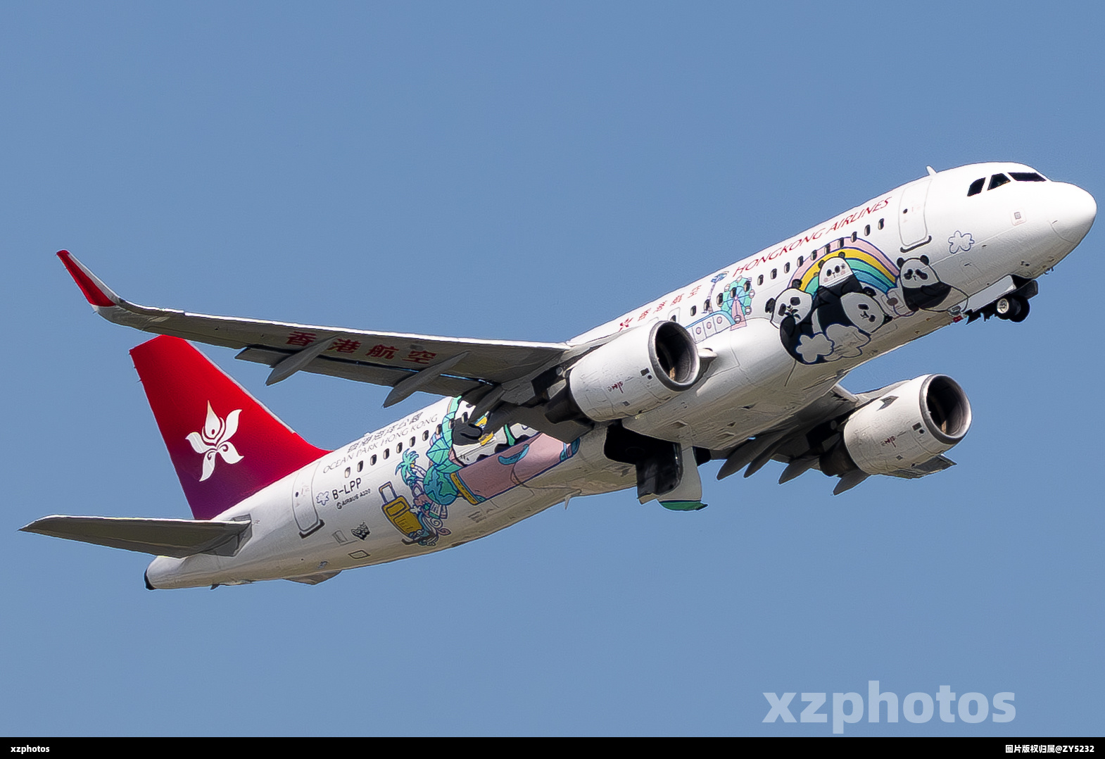 B-LPP