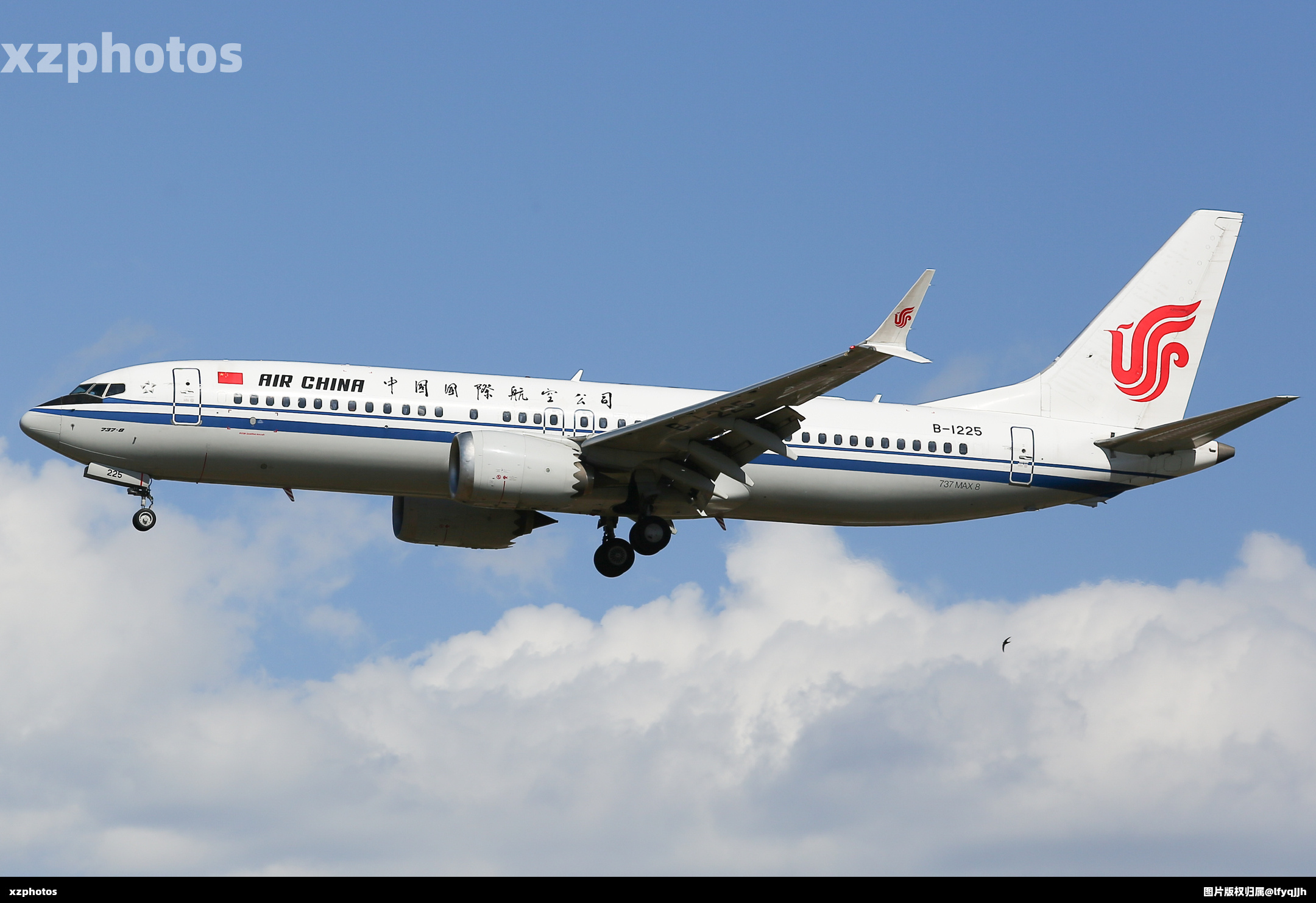 Boeing 737-8 MAX