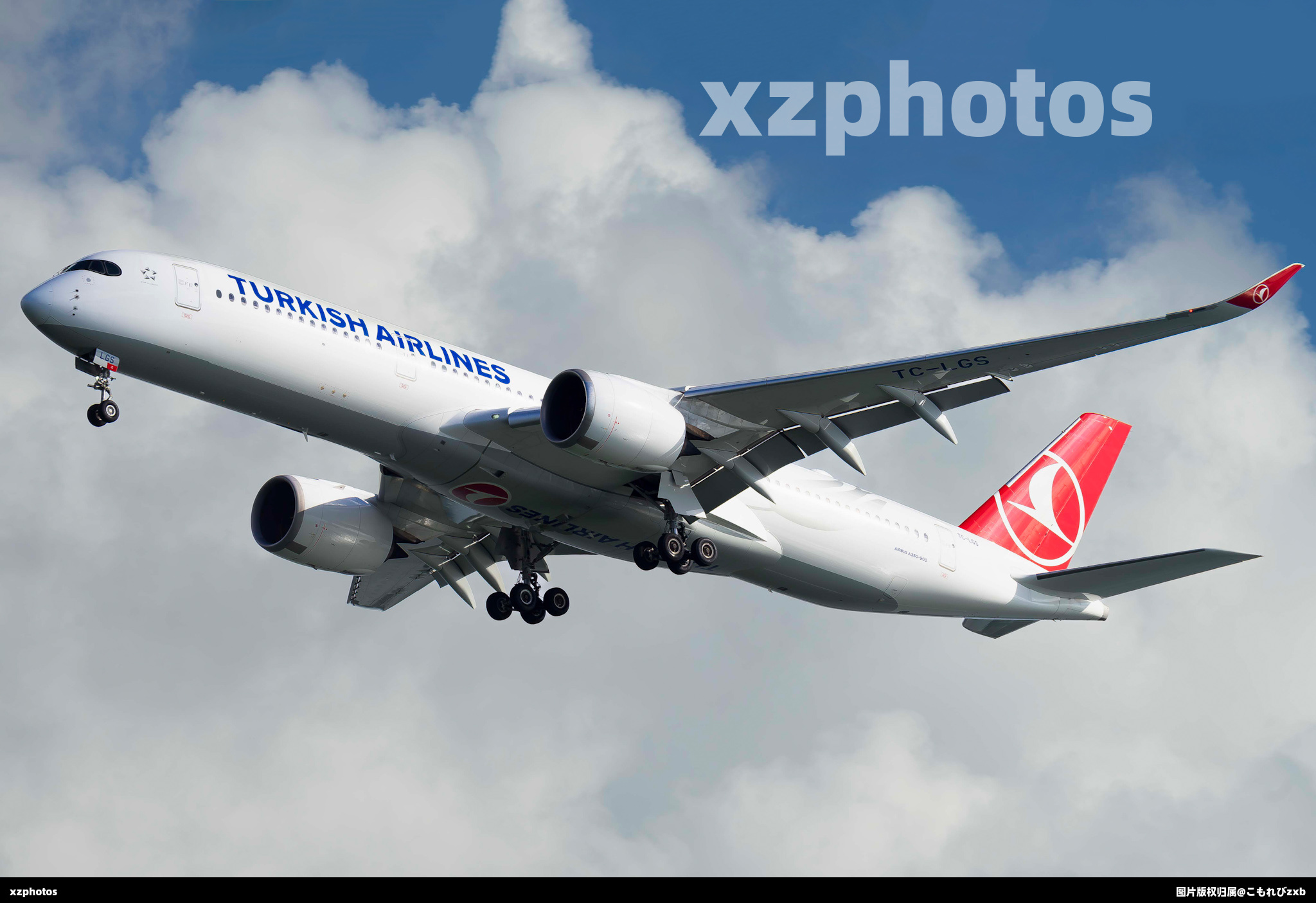 TC-LGS