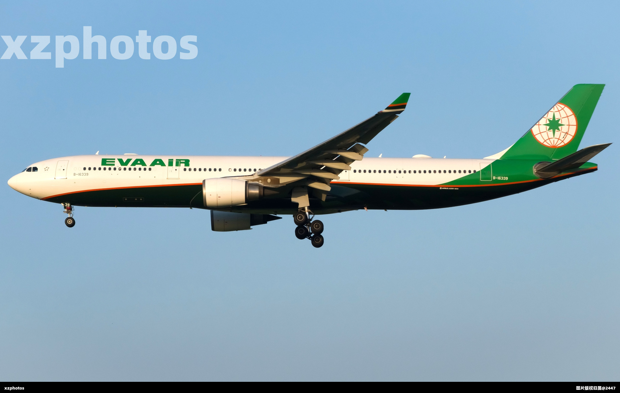 B-16339