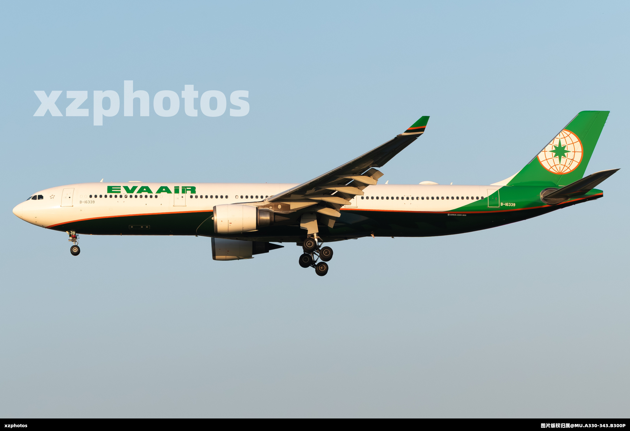 B-16339