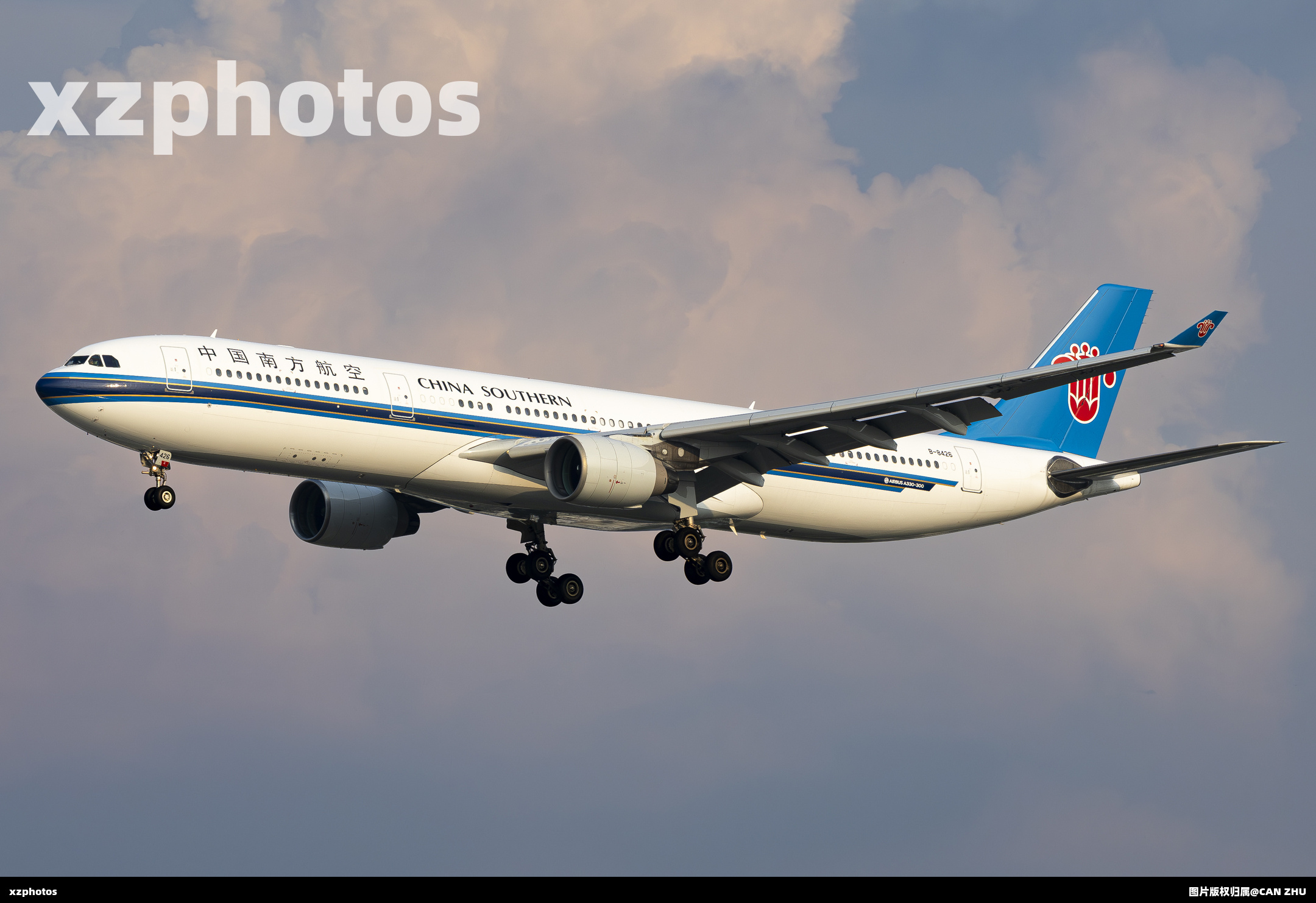 B-8426