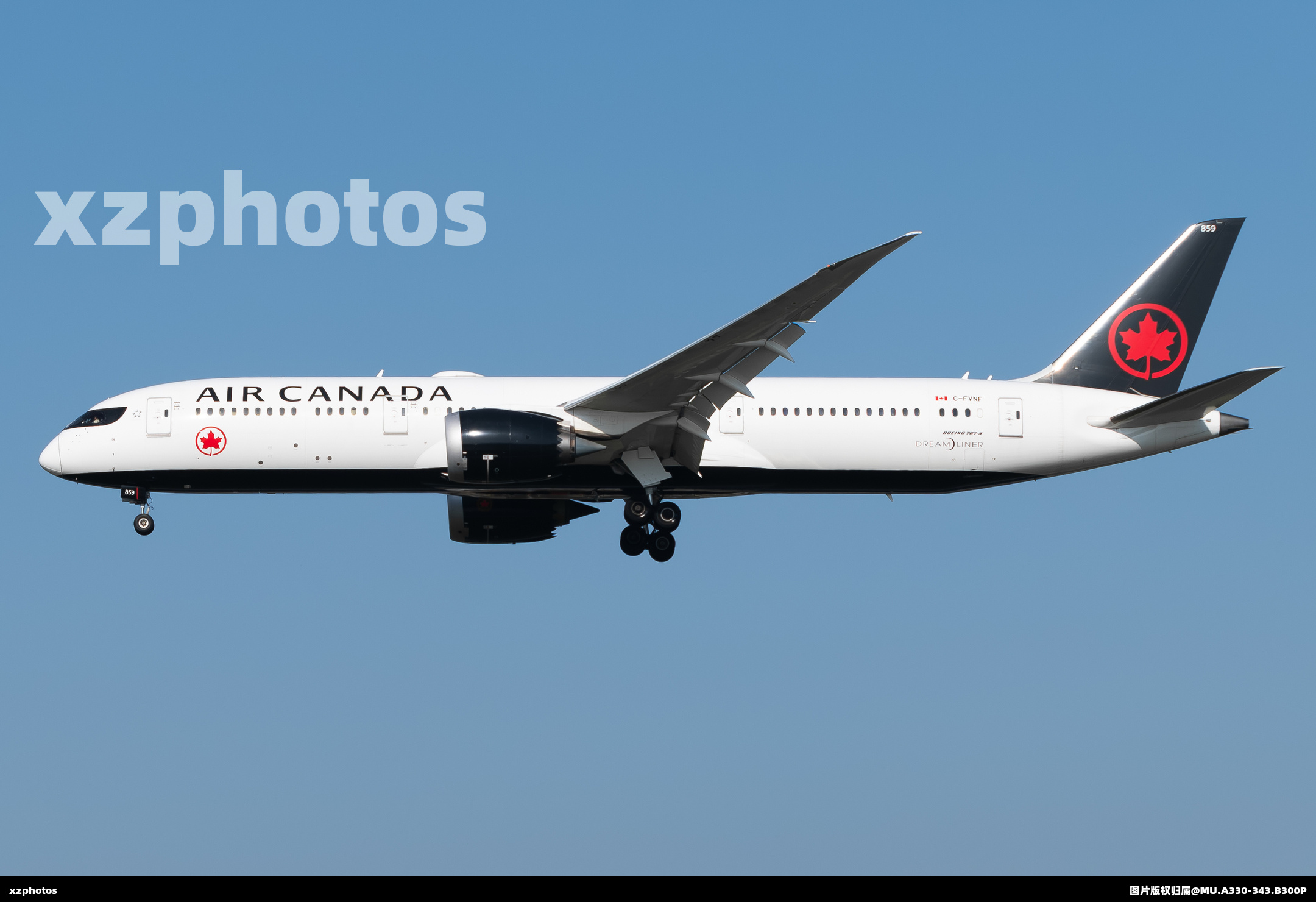 C-FVNF