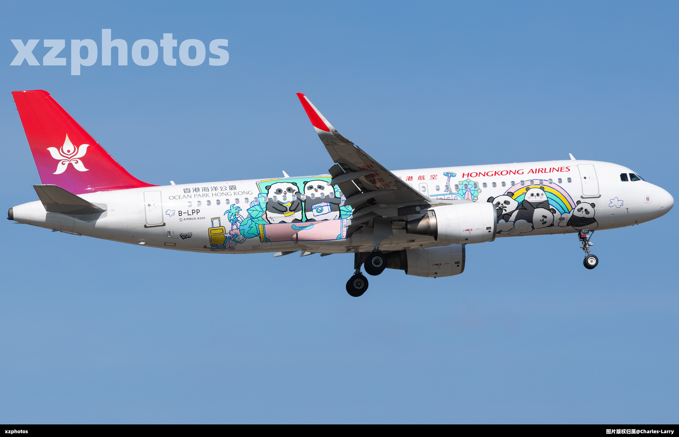 B-LPP