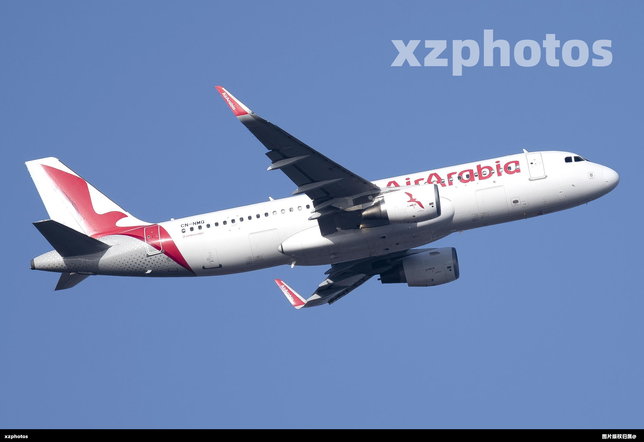 CN-NMQ