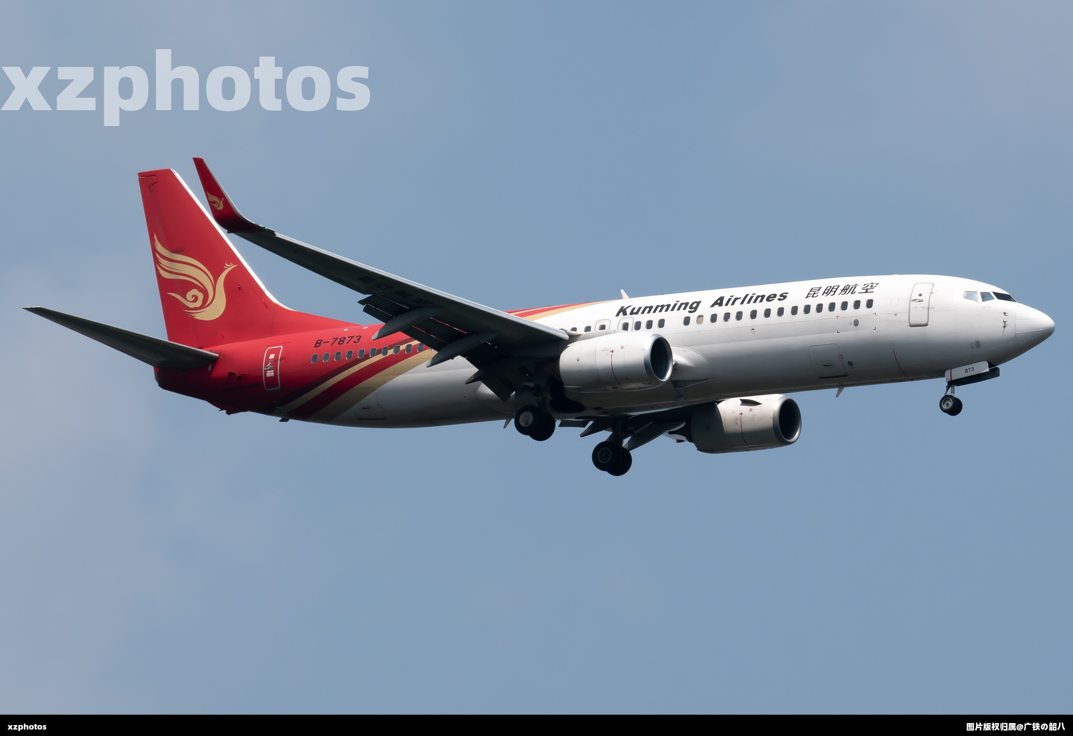 B-7873