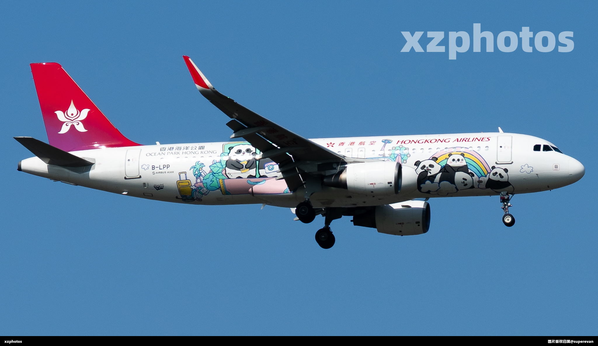 B-LPP